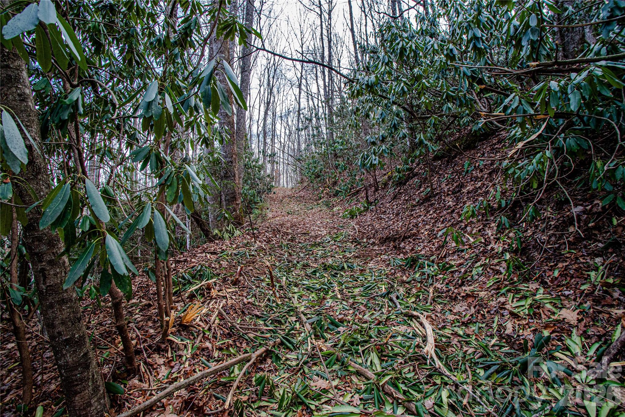 Tbd Tannassee Creek Road Property Photo 24