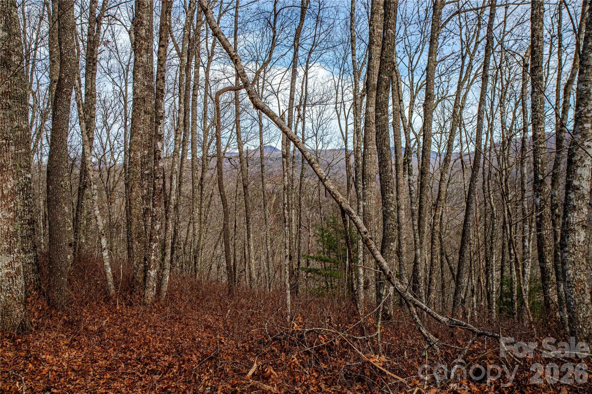 Tbd Tannassee Creek Road Property Photo 25