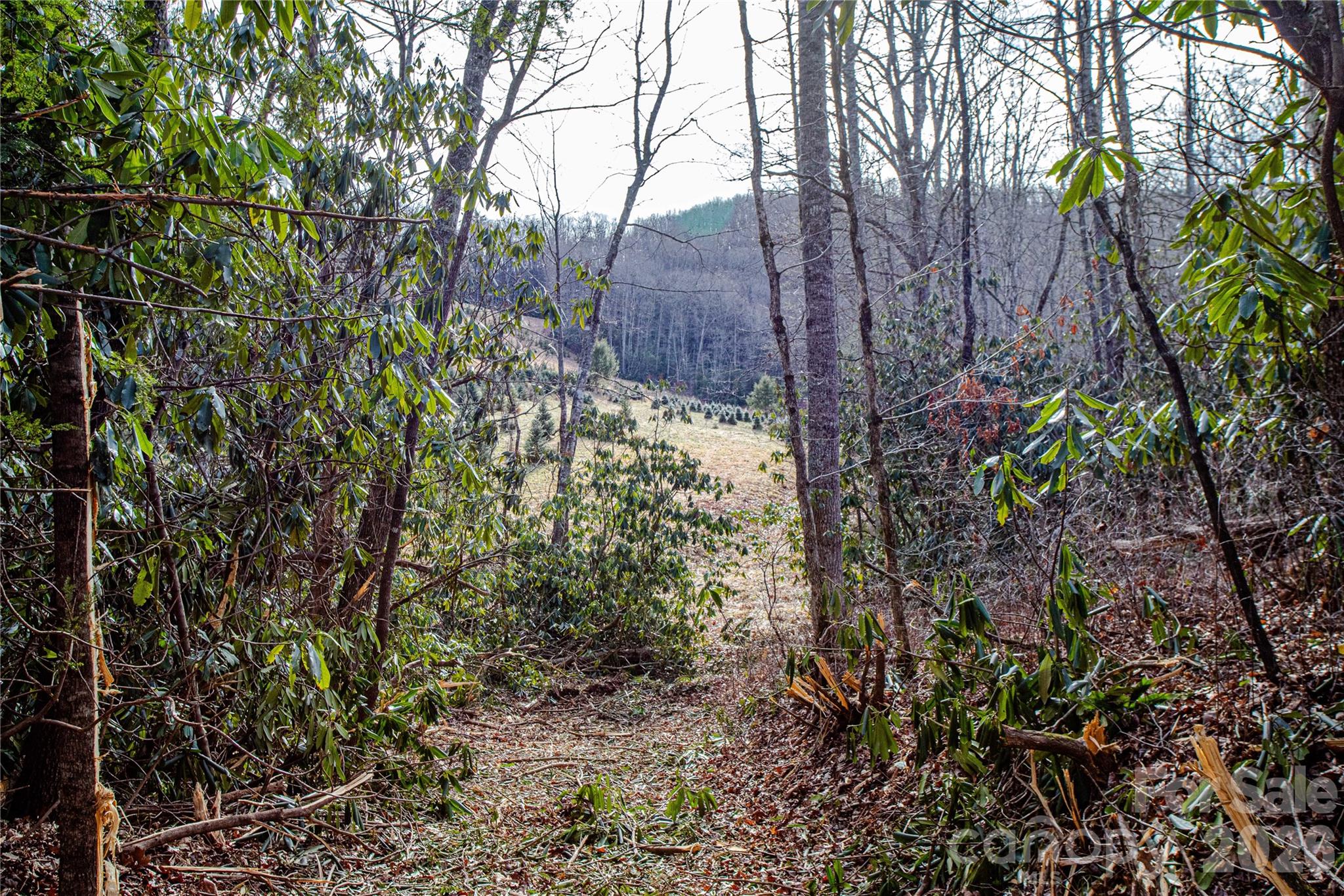 Tbd Tannassee Creek Road Property Photo 26
