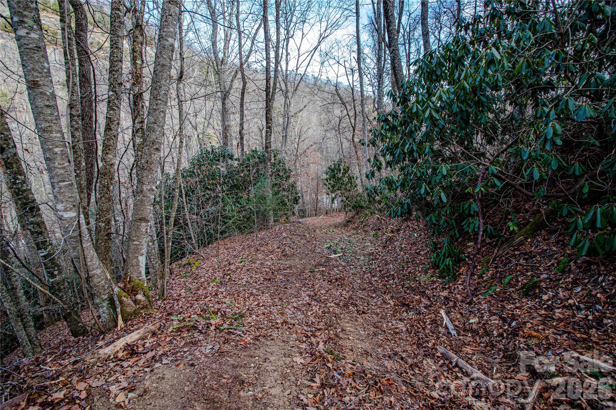Tbd Tannassee Creek Road Property Photo 27