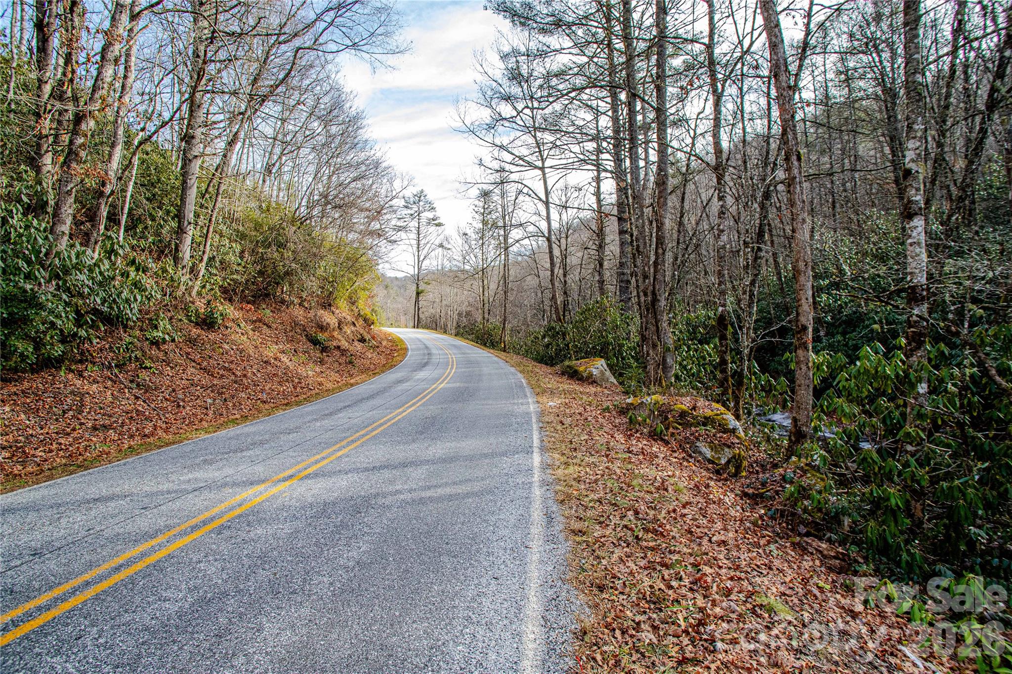 Tbd Tannassee Creek Road Property Photo 29