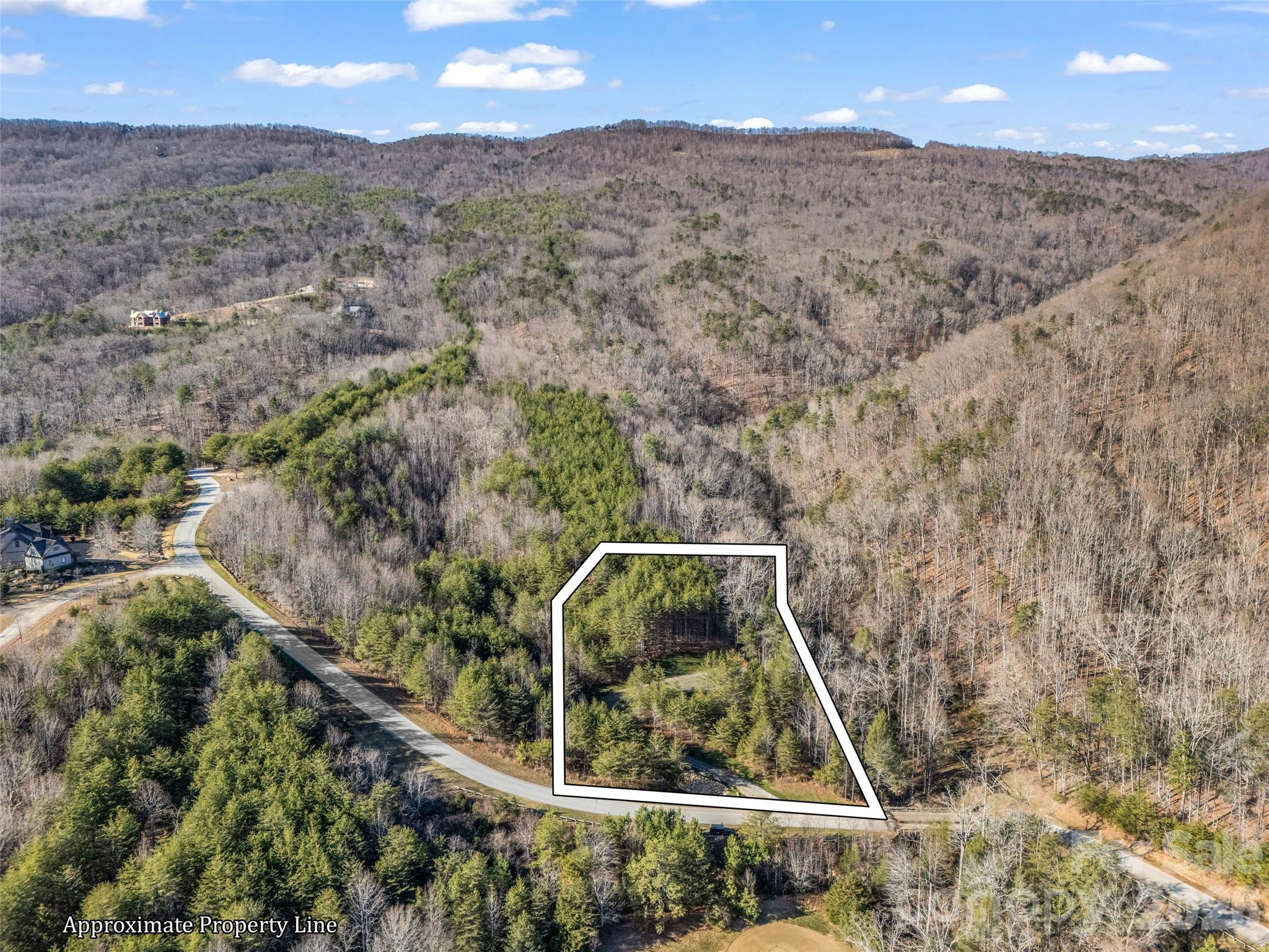 61 Deep Gap Farm Road Property Photo 4