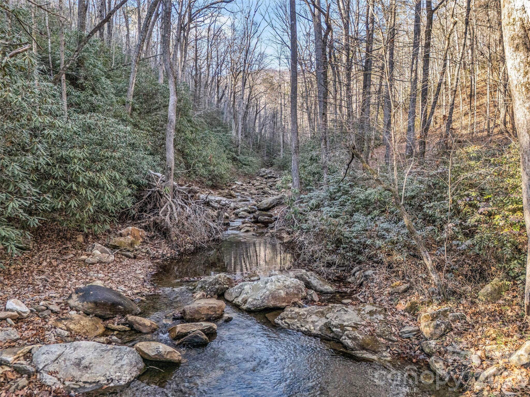 61 Deep Gap Farm Road Property Photo 14