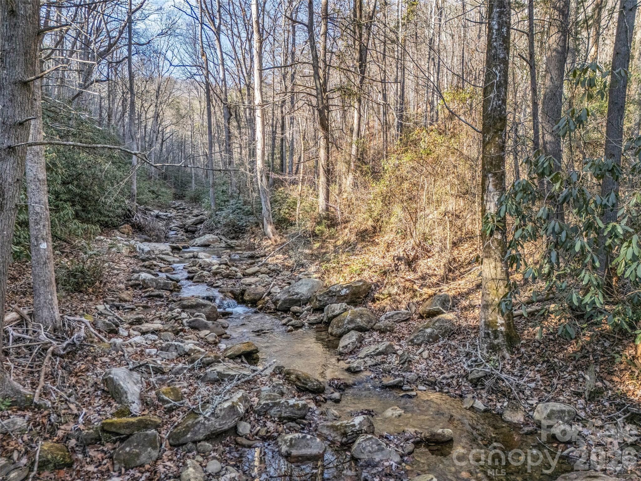 61 Deep Gap Farm Road Property Photo 16