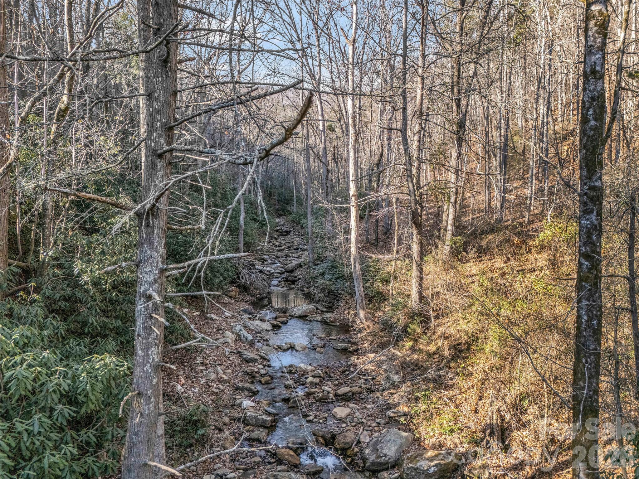 61 Deep Gap Farm Road Property Photo 17