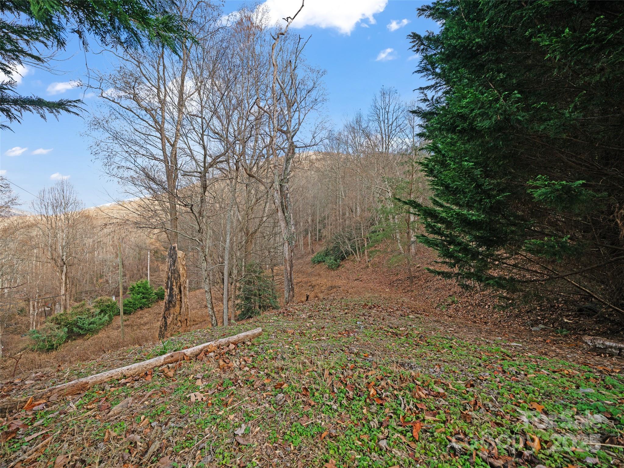 99999 Flora Rose Trail Property Photo 1