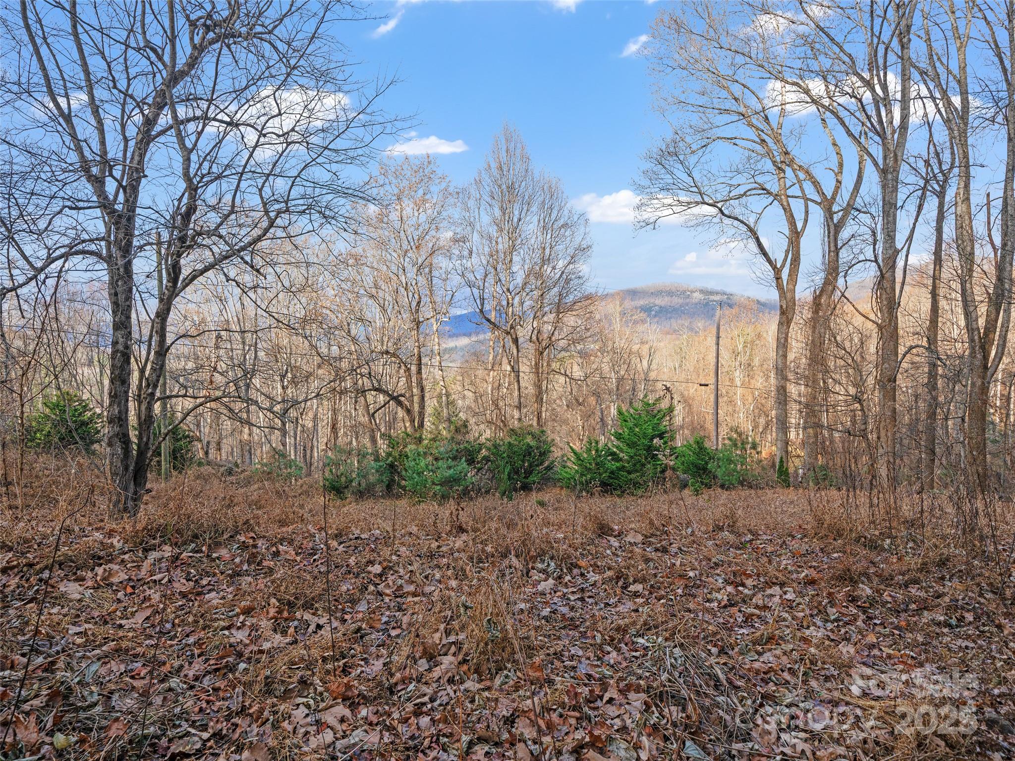 99999 Flora Rose Trail Property Photo 2