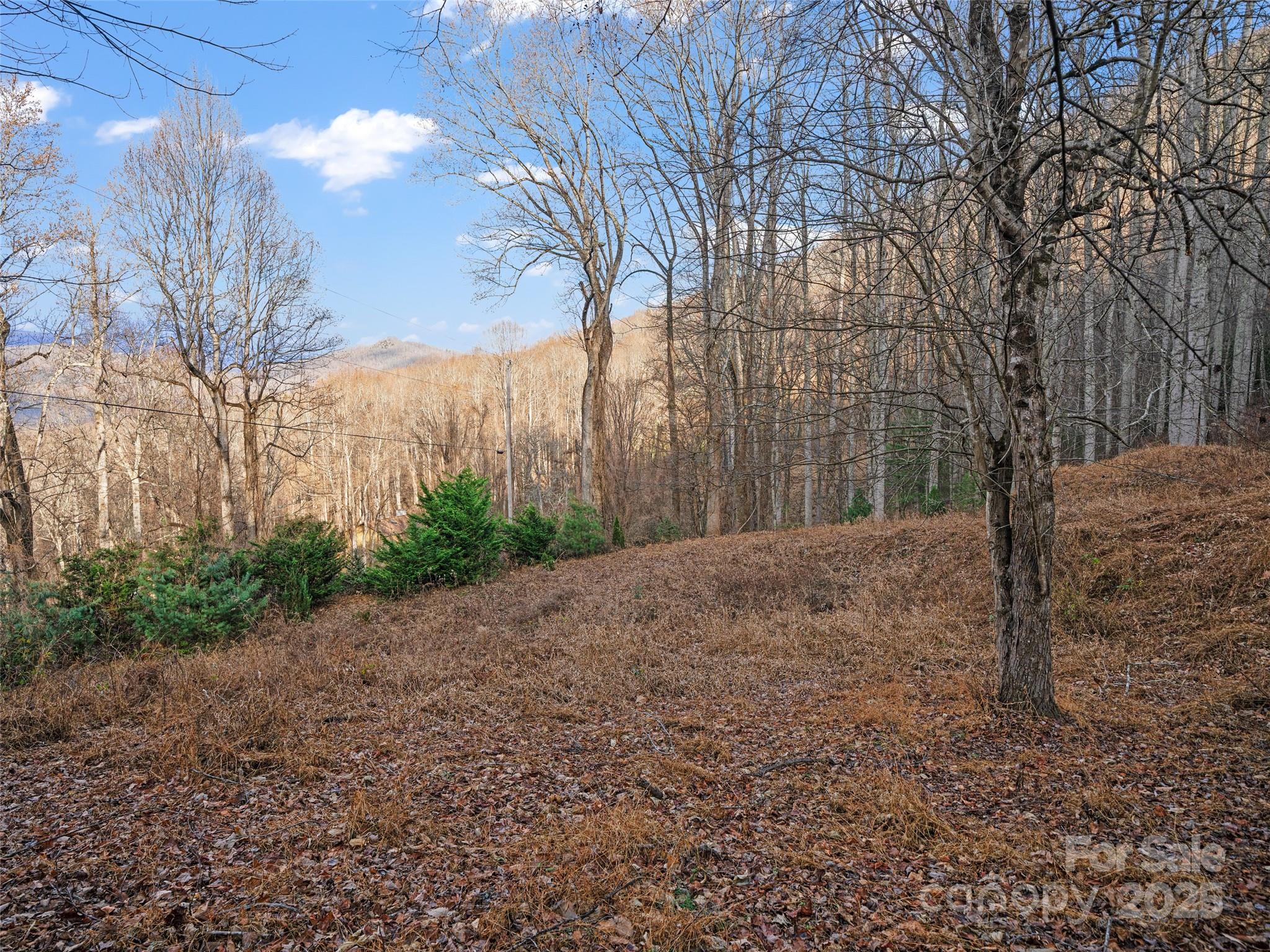 99999 Flora Rose Trail Property Photo 3