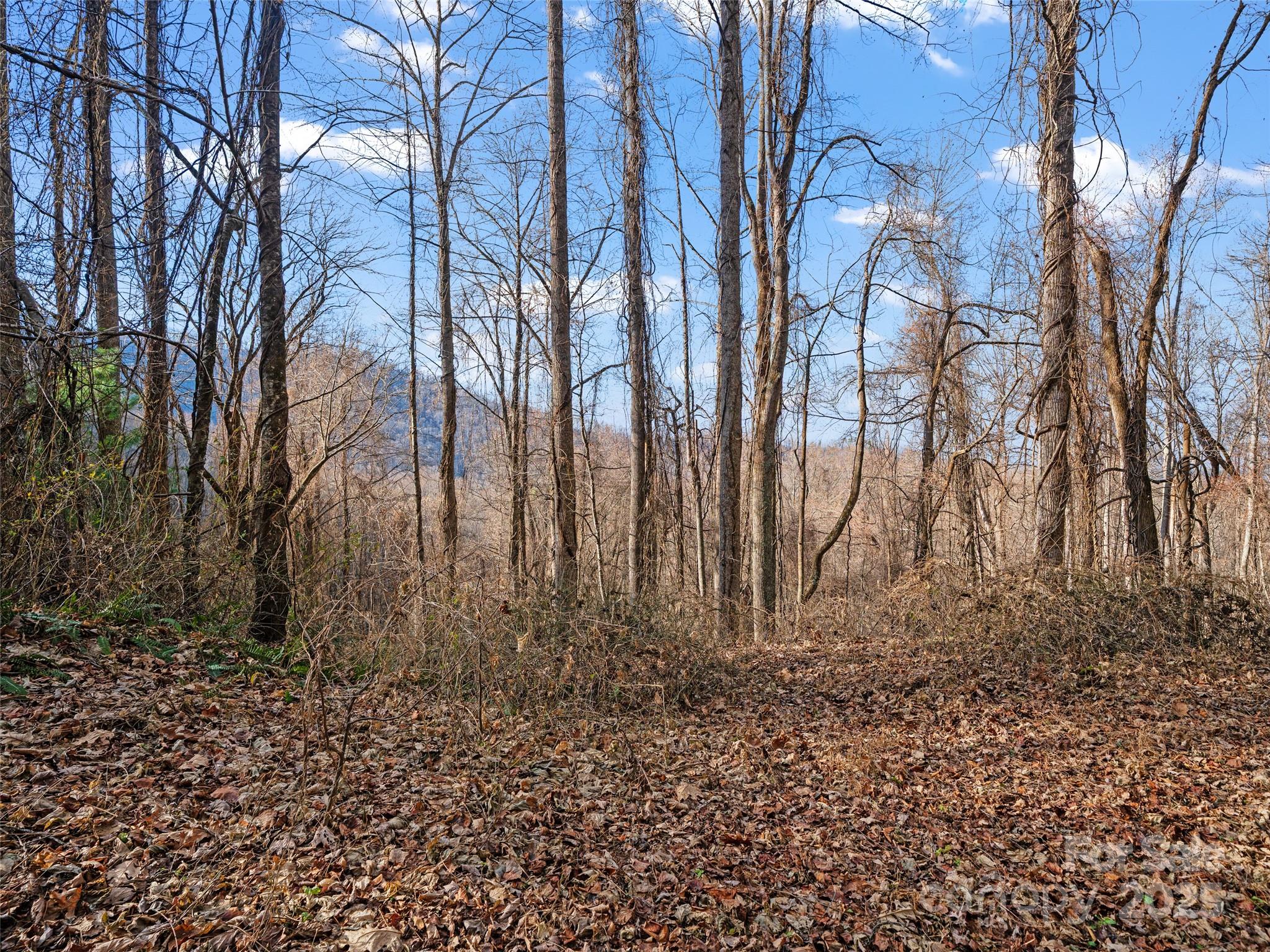 99999 Flora Rose Trail Property Photo 4