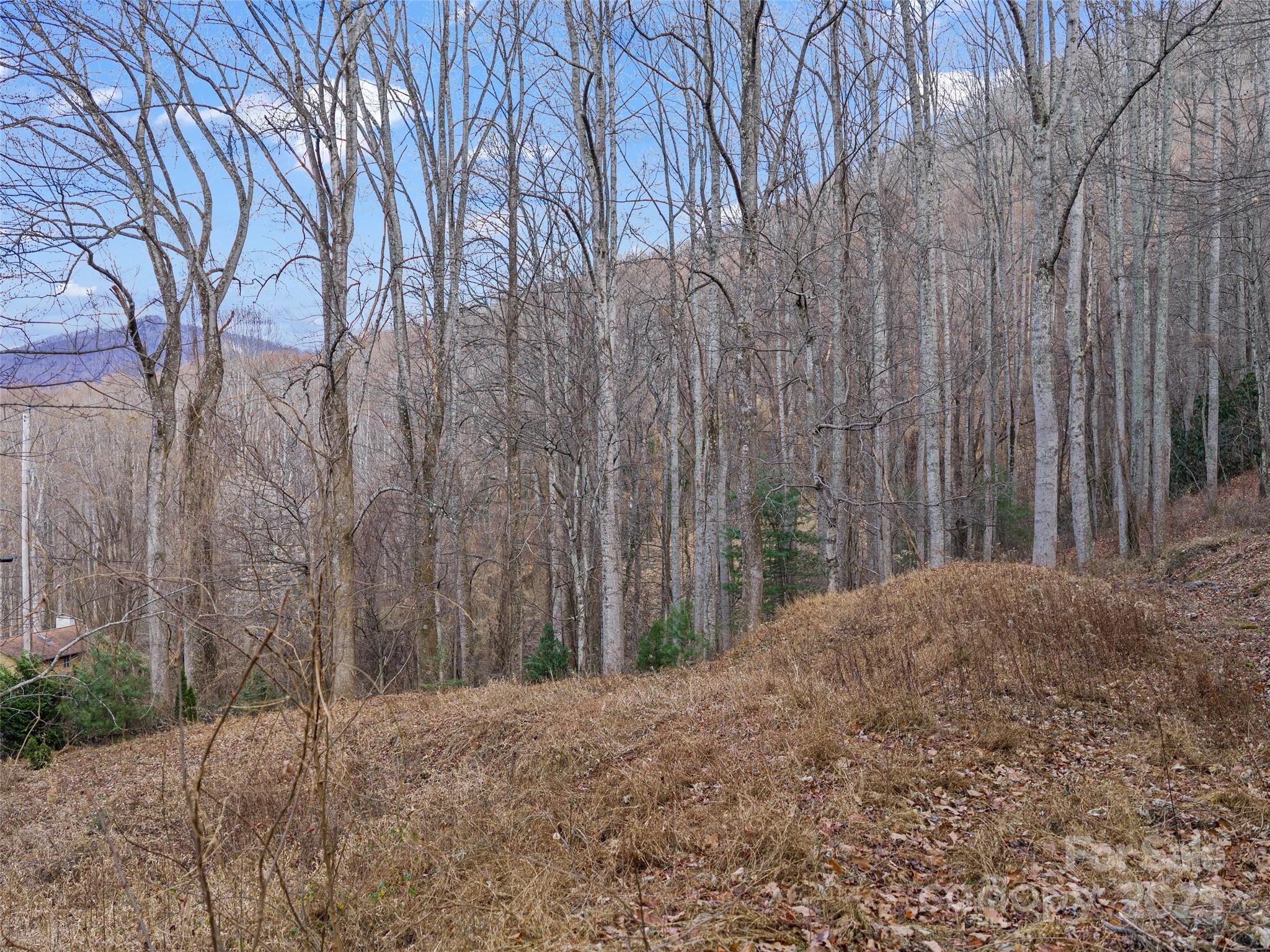 99999 Flora Rose Trail Property Photo 5