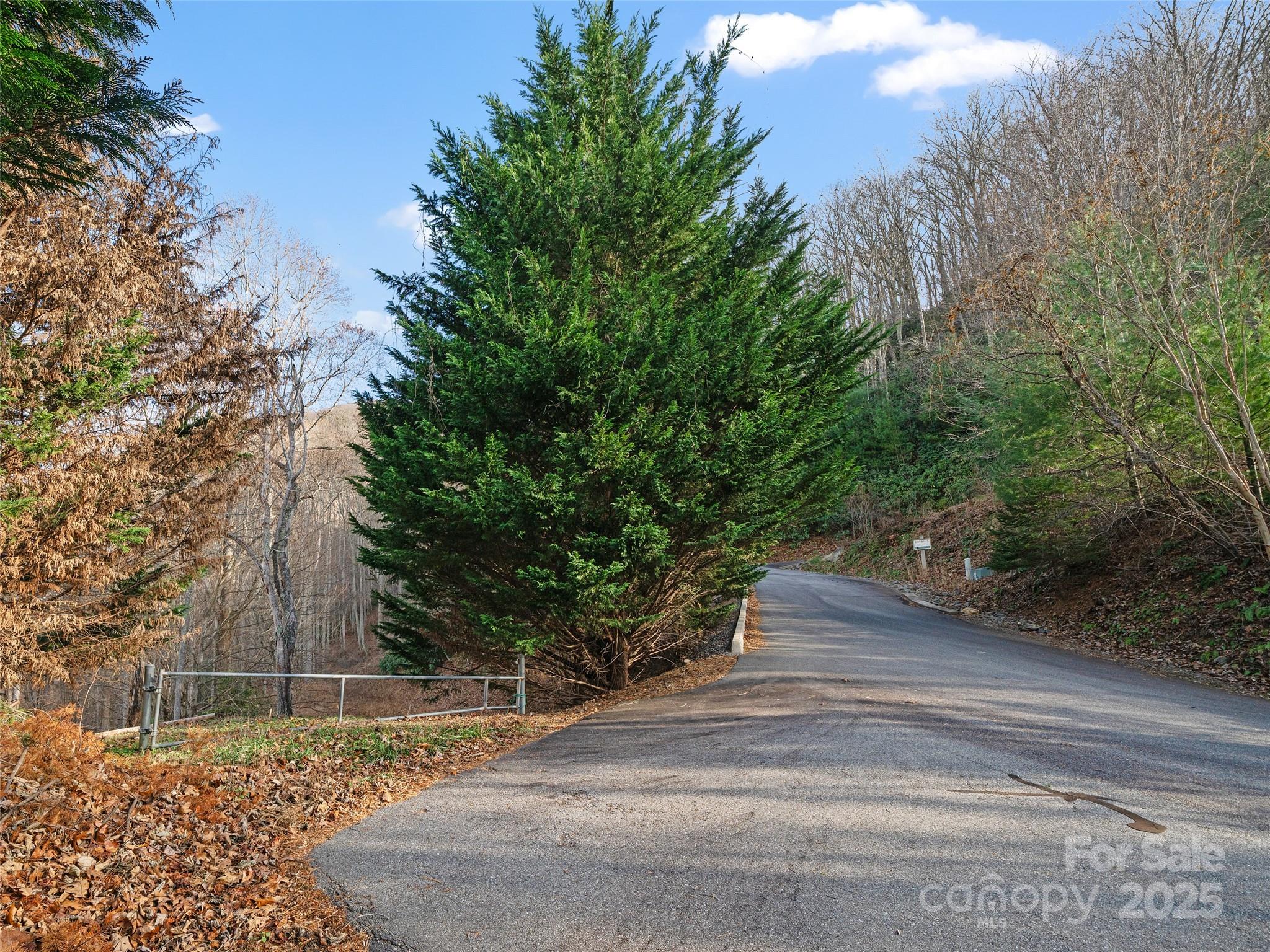 99999 Flora Rose Trail Property Photo 6