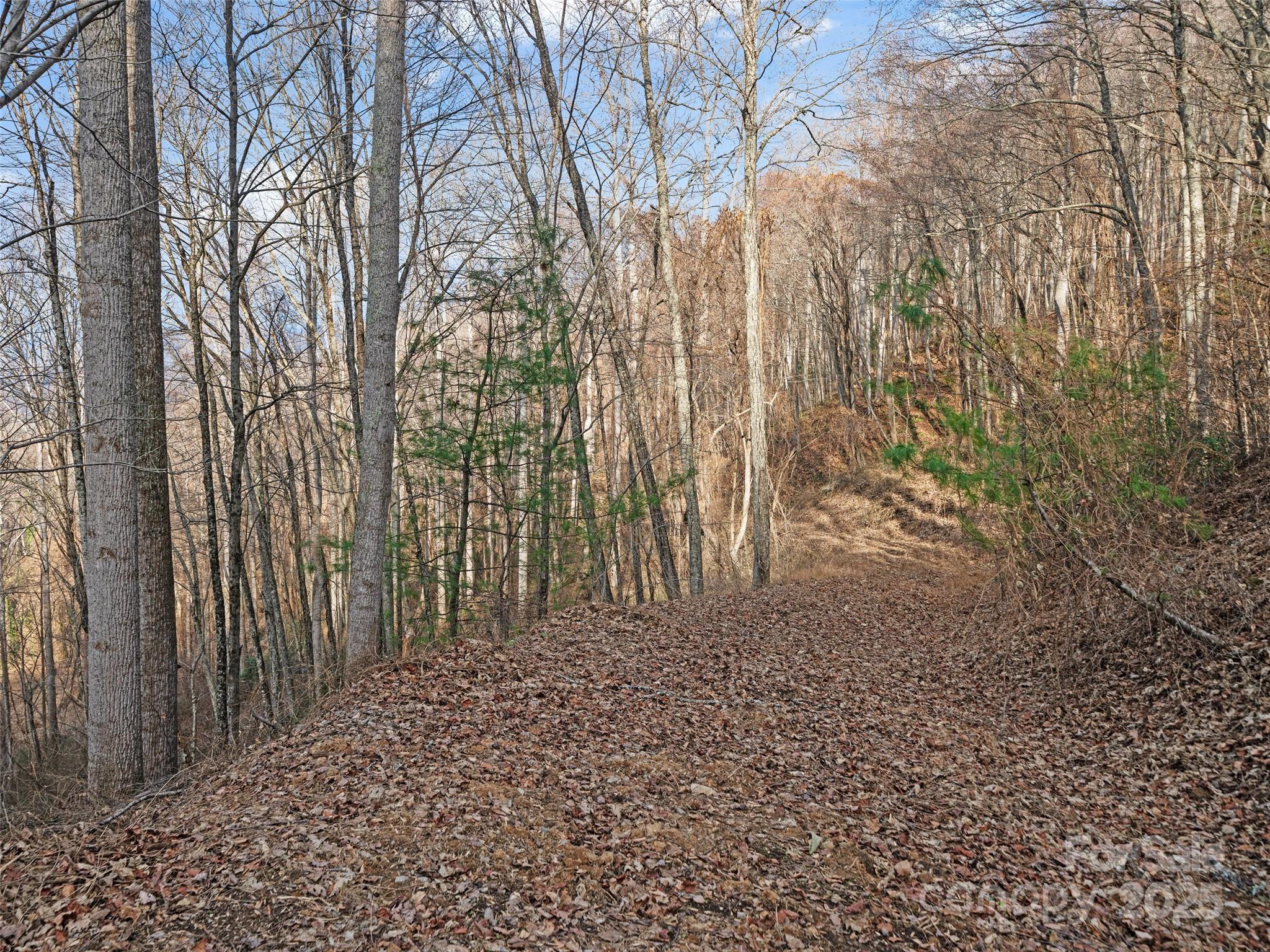99999 Flora Rose Trail Property Photo 8