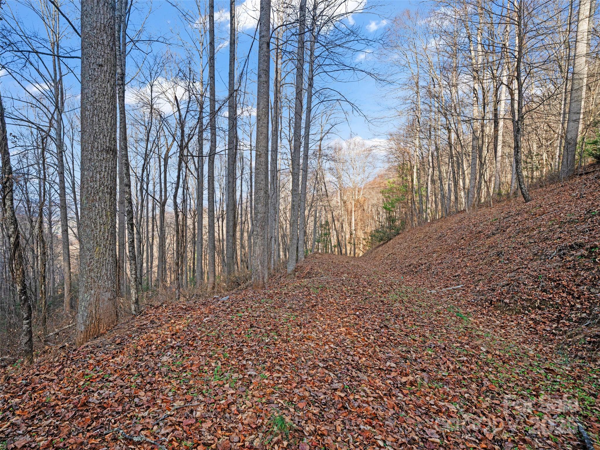 99999 Flora Rose Trail Property Photo 9