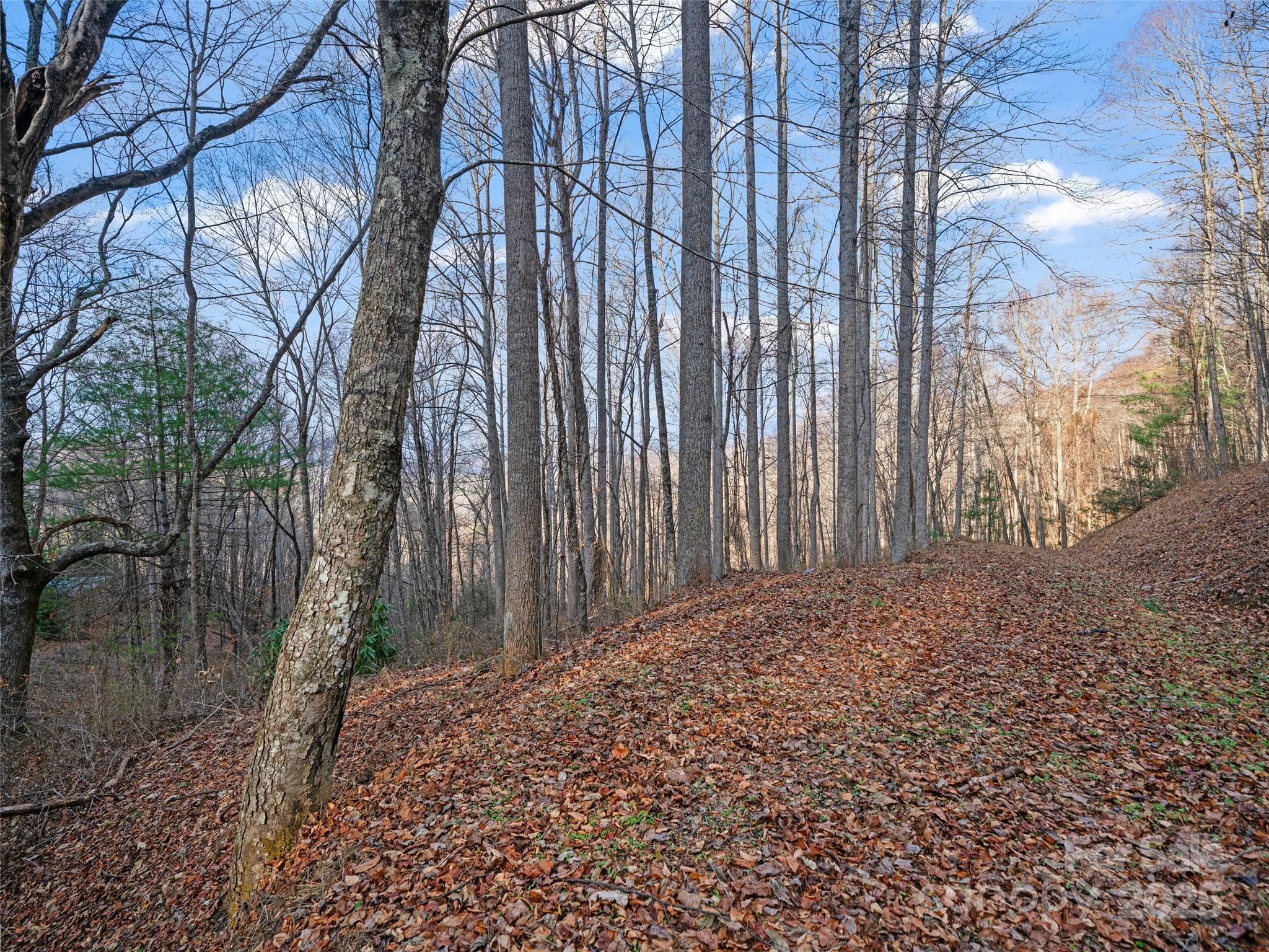 99999 Flora Rose Trail Property Photo 10