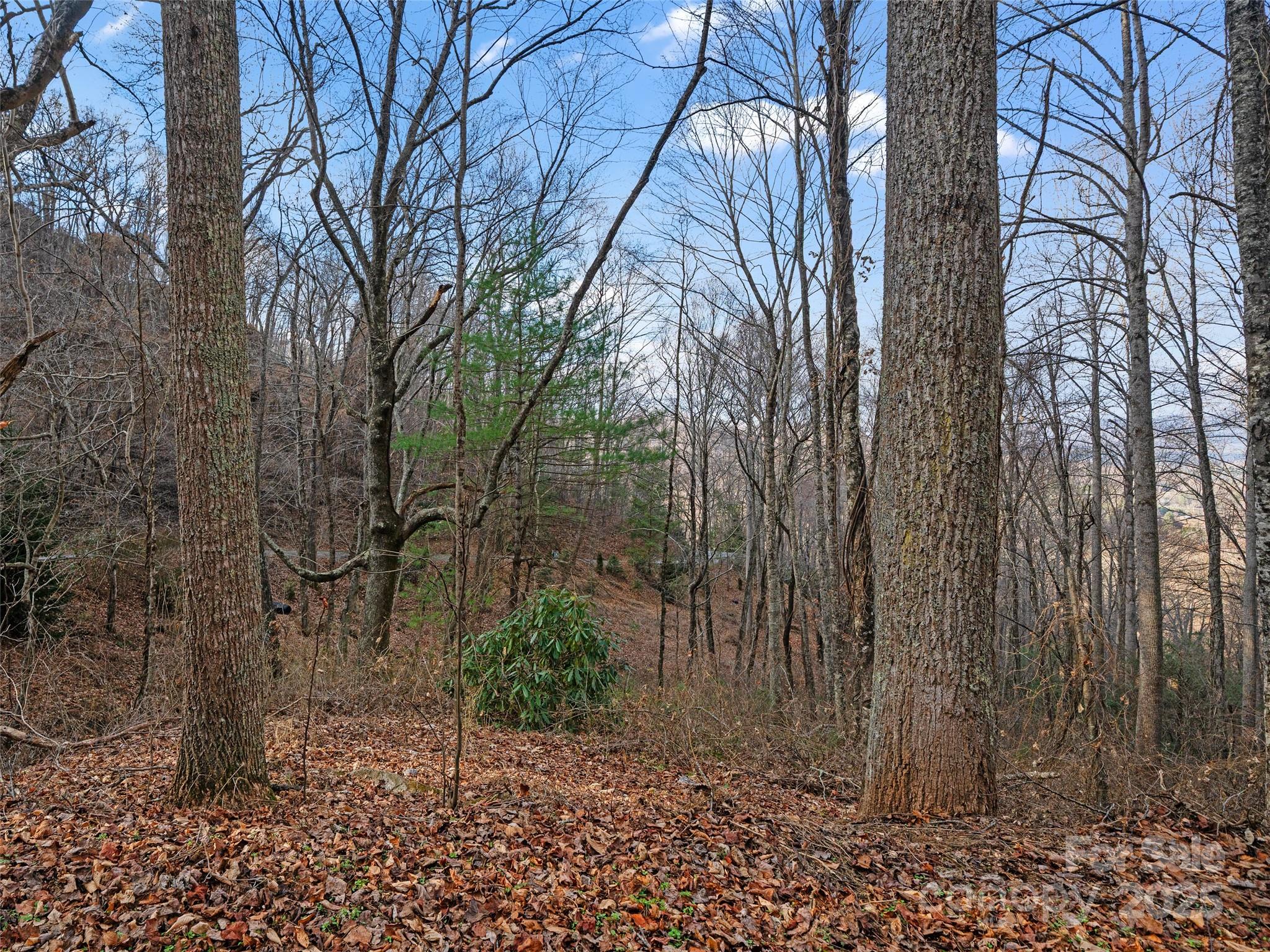 99999 Flora Rose Trail Property Photo 11