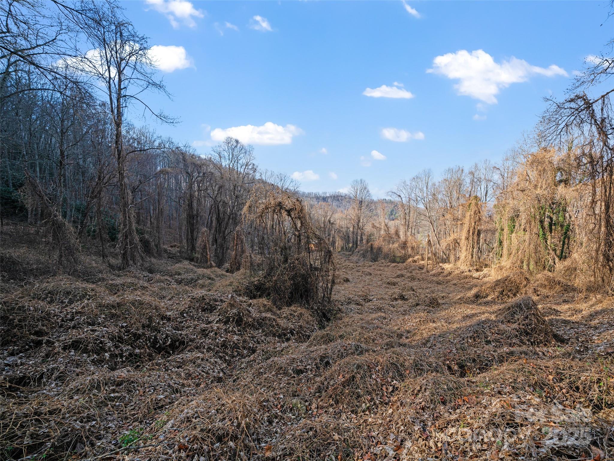 99999 Flora Rose Trail Property Photo 14