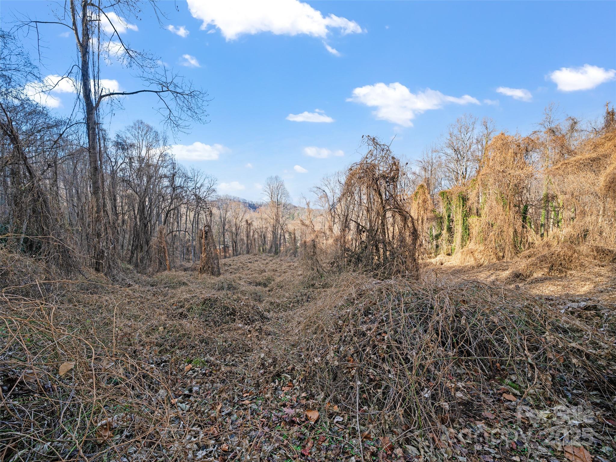 99999 Flora Rose Trail Property Photo 15
