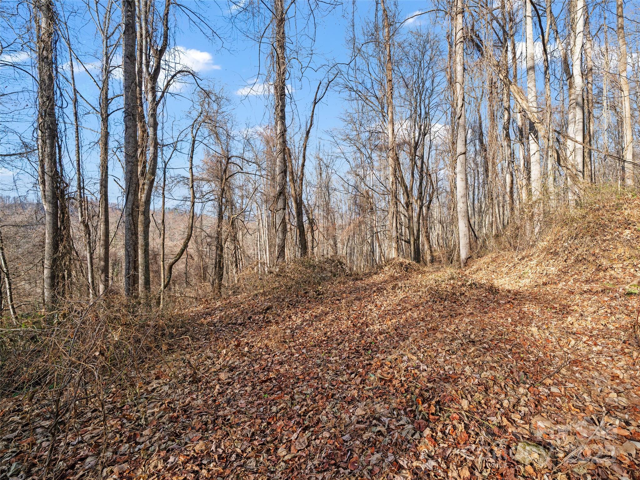 99999 Flora Rose Trail Property Photo 16