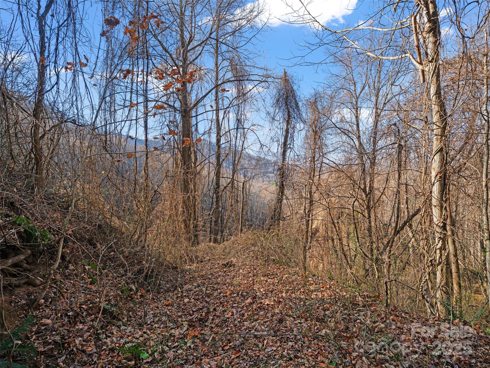 99999 Flora Rose Trail Property Photo 17