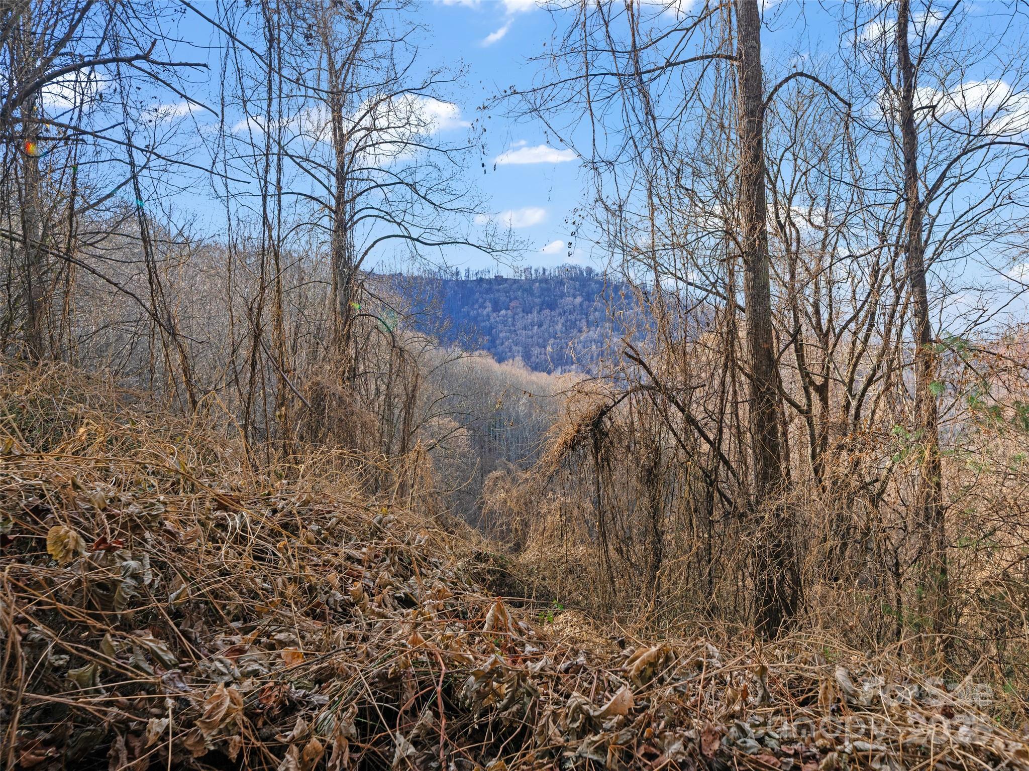 99999 Flora Rose Trail Property Photo 18