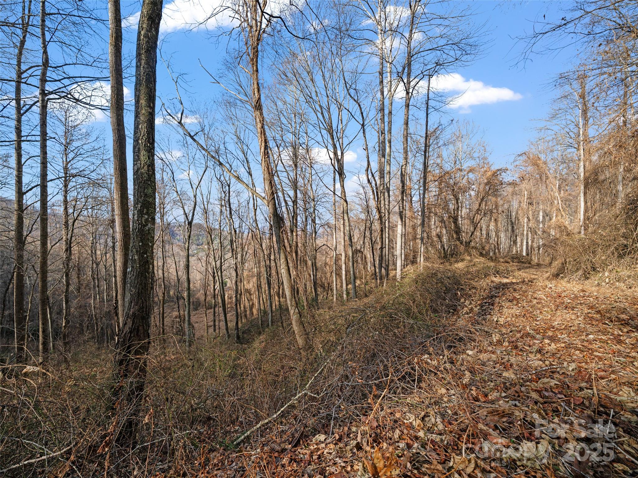 99999 Flora Rose Trail Property Photo 19