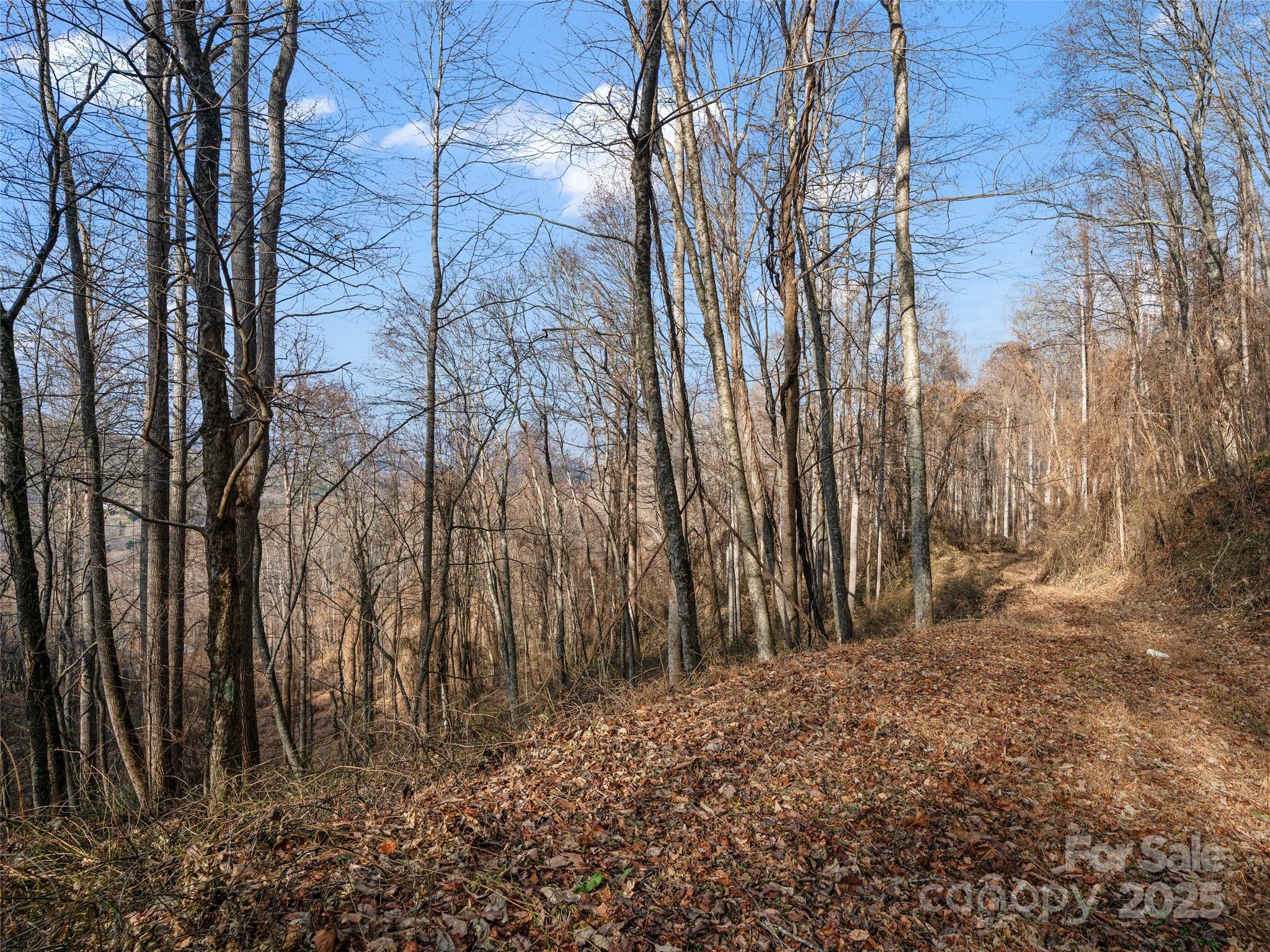 99999 Flora Rose Trail Property Photo 20