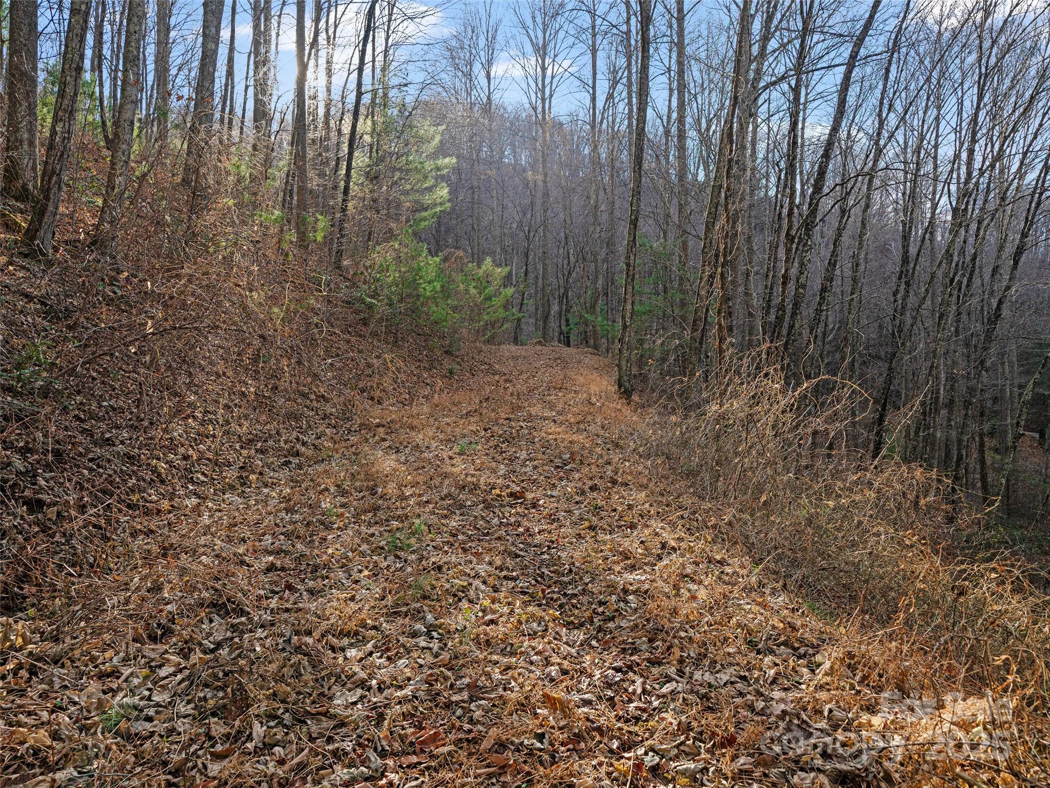 99999 Flora Rose Trail Property Photo 21