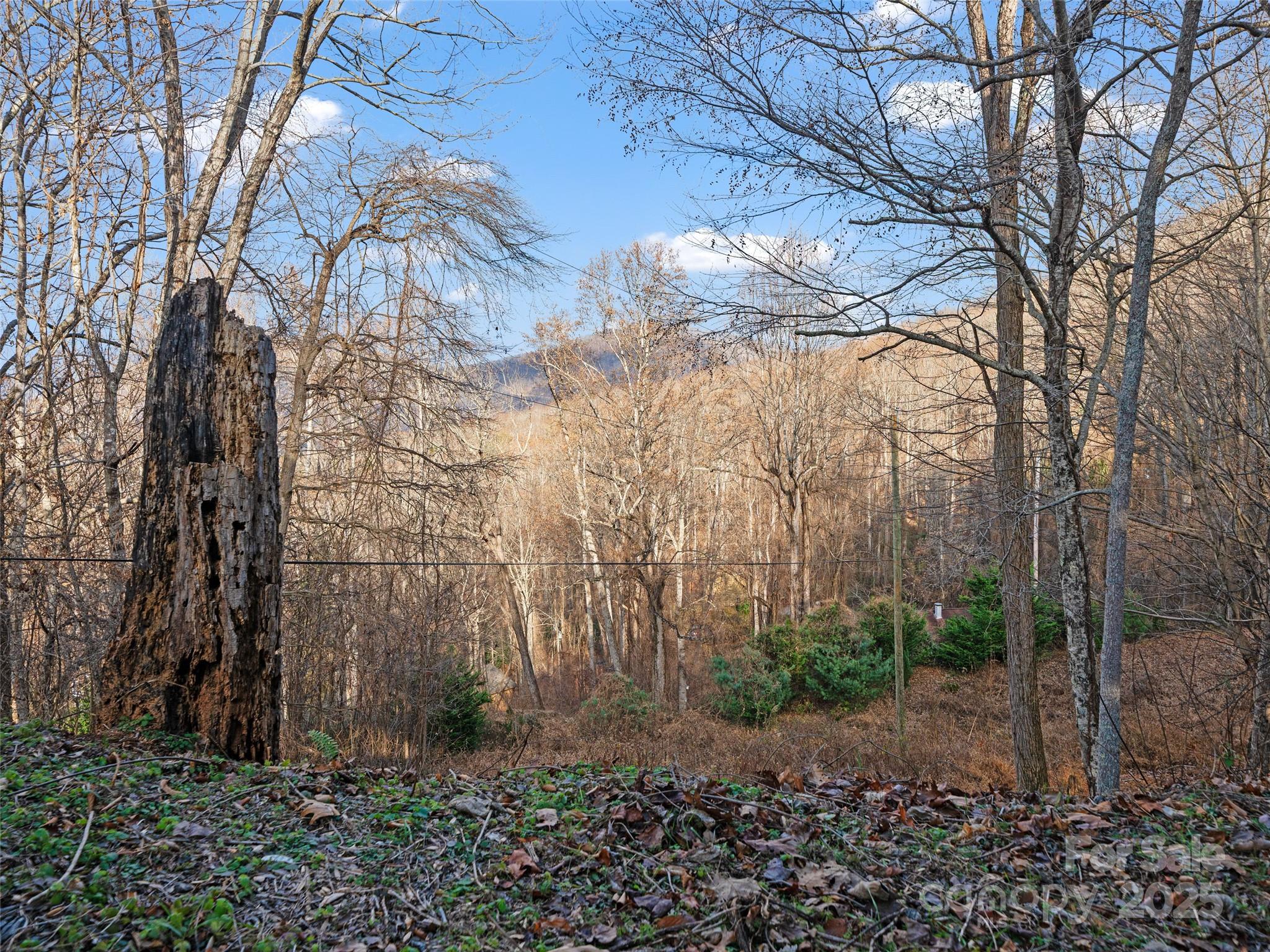 99999 Flora Rose Trail Property Photo 22