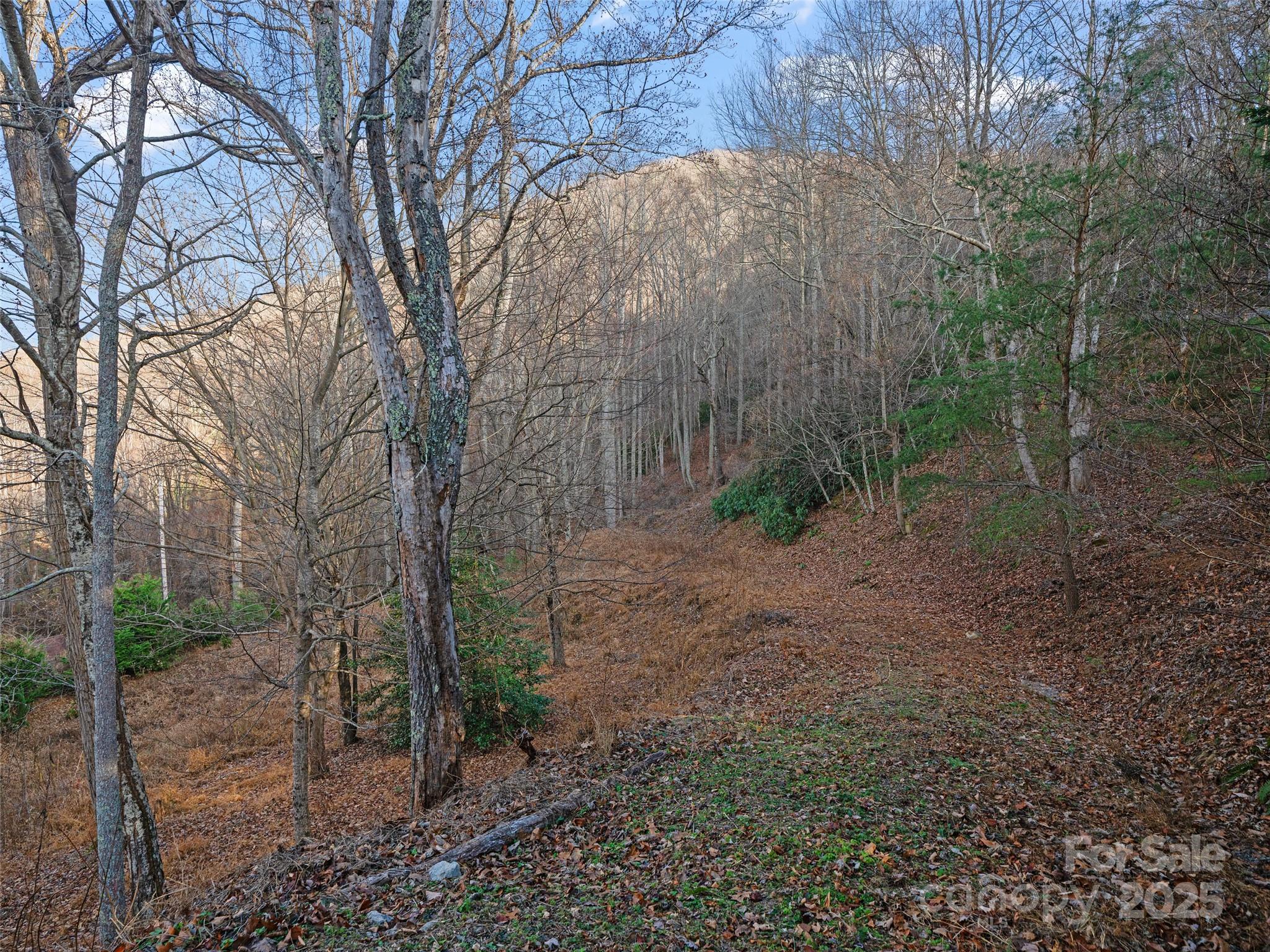 99999 Flora Rose Trail Property Photo 23