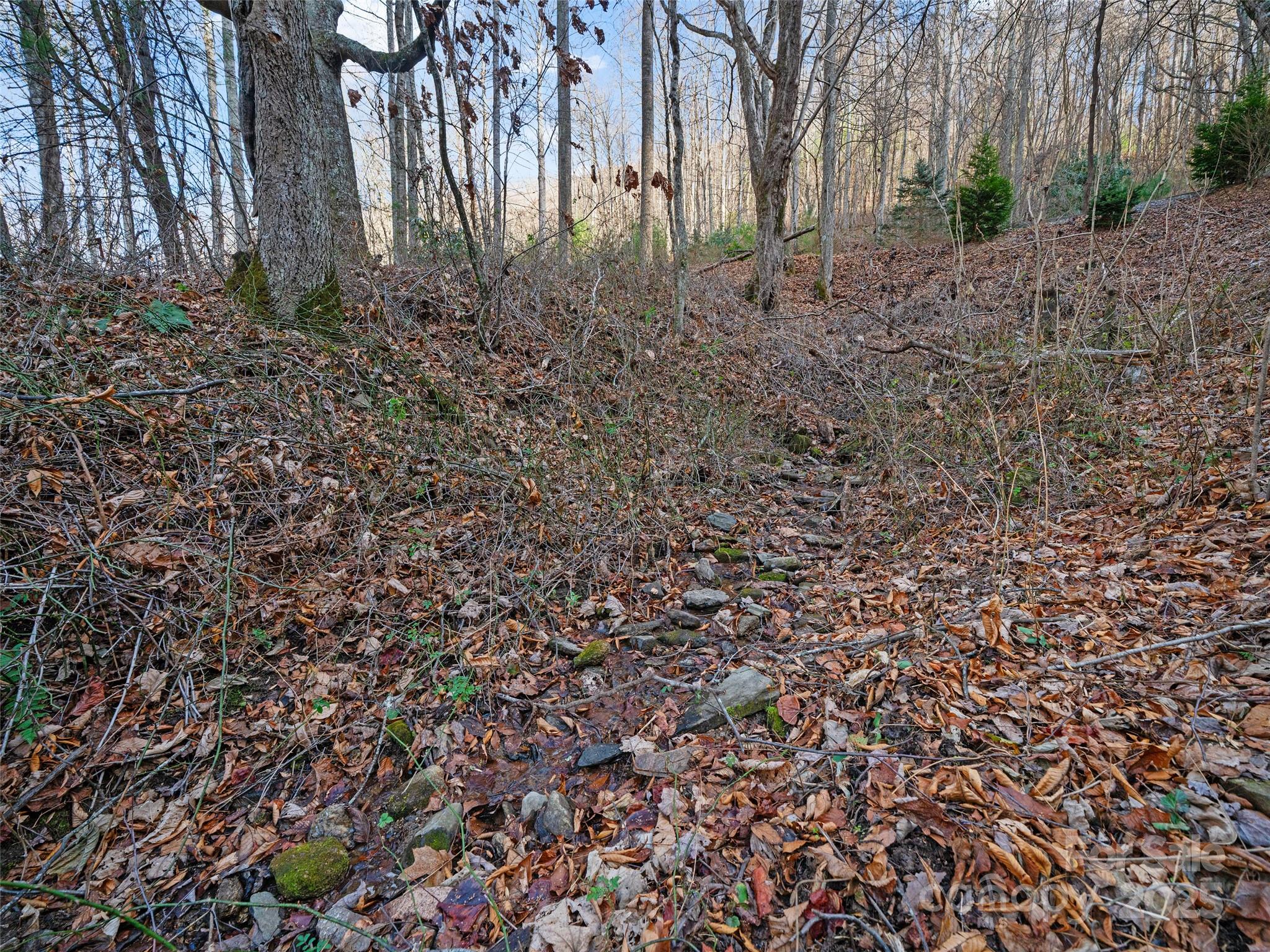 99999 Flora Rose Trail Property Photo 26