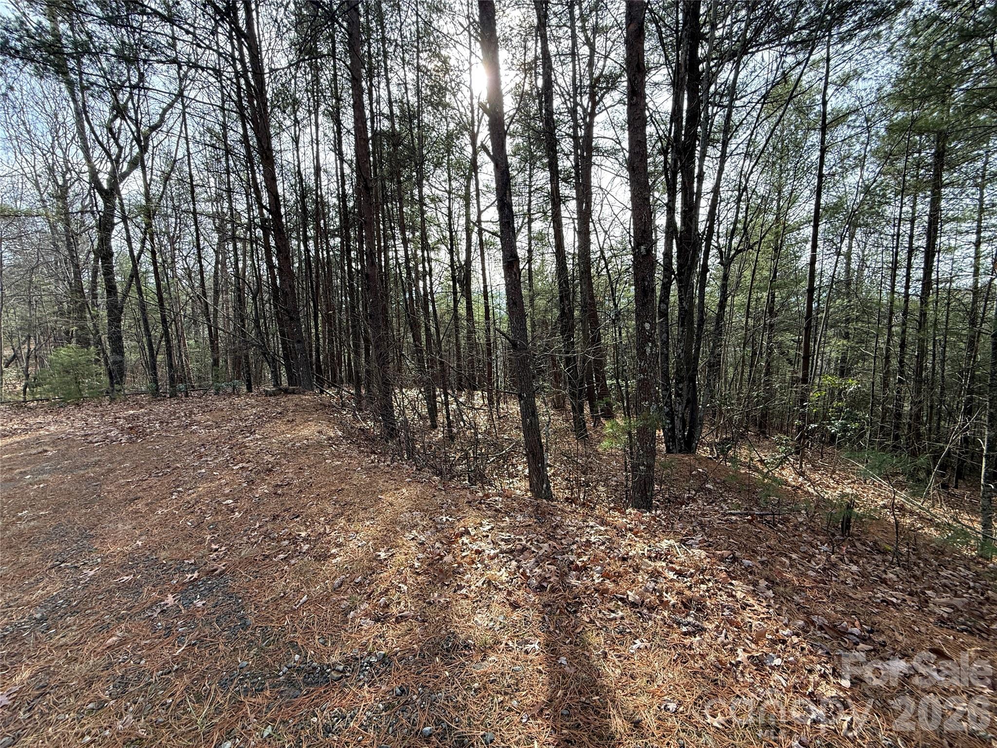Tbd Buck Mountain Road 21 Property Photo 4