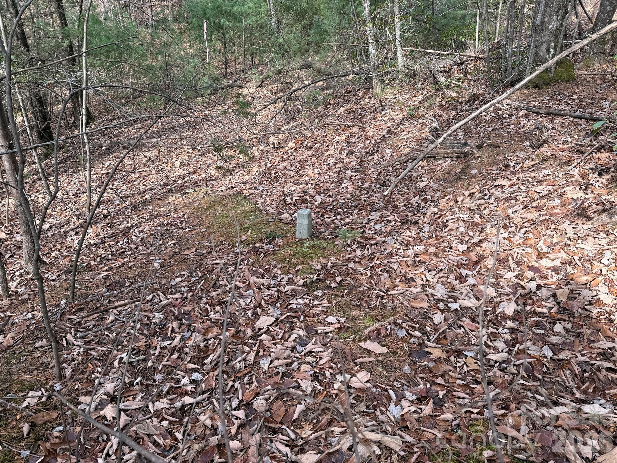 Tbd Buck Mountain Road 21 Property Photo 13