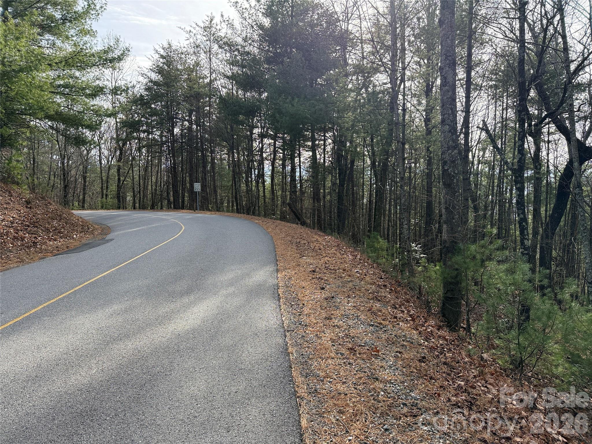 Tbd Buck Mountain Road 21 Property Photo 18
