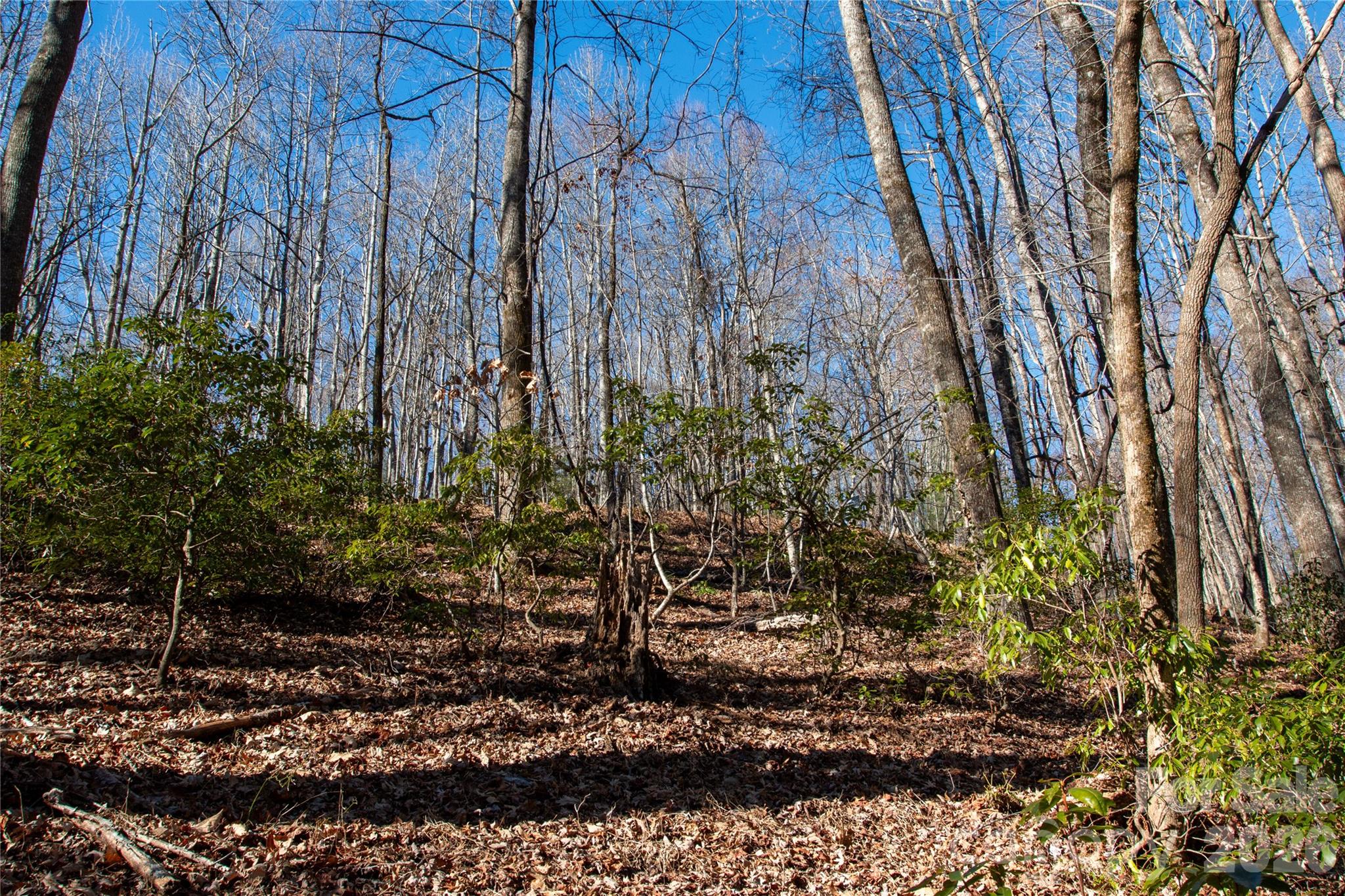 Lot 26 Big Branch Road Property Photo 1