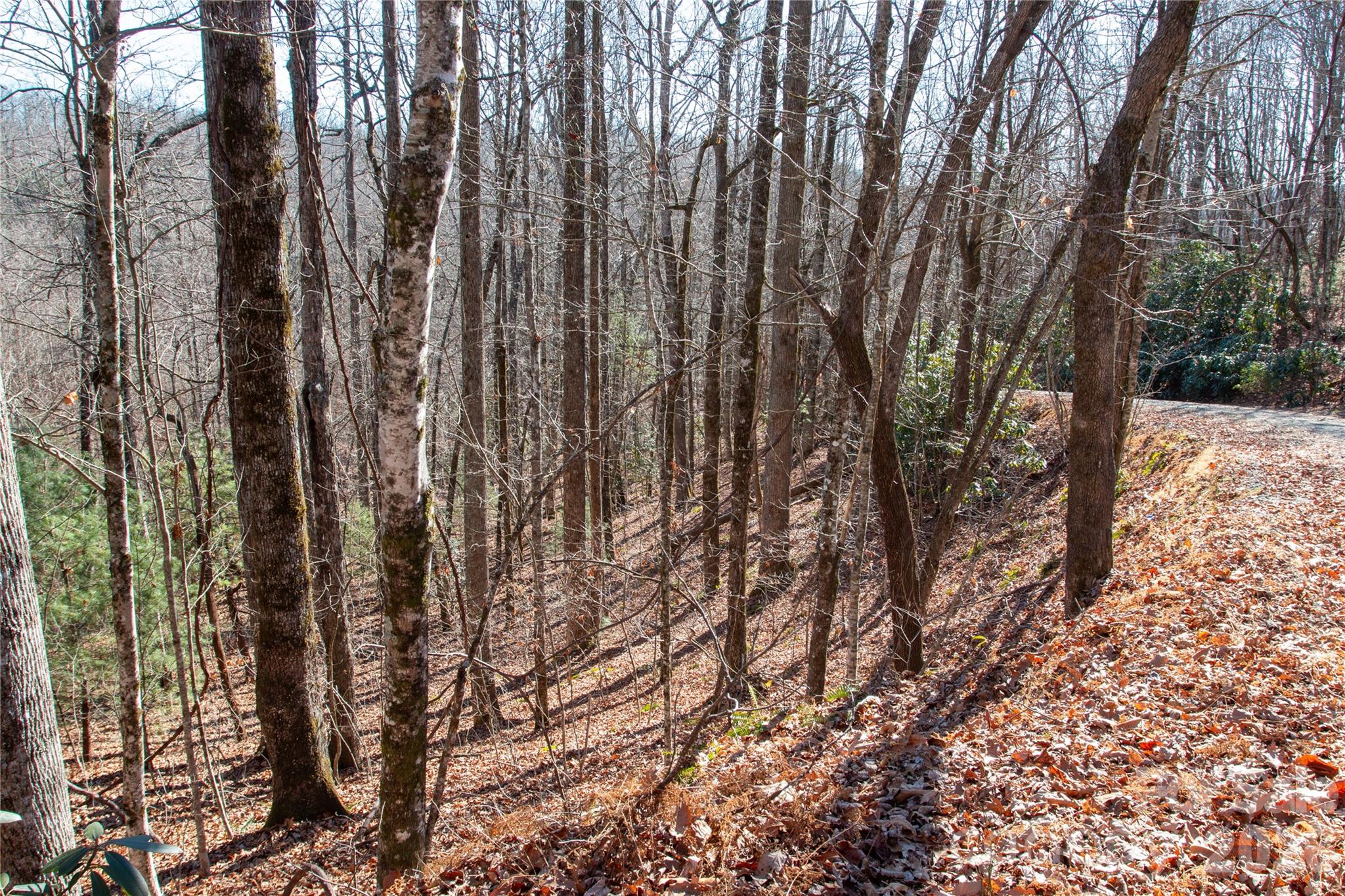 Lot 26 Big Branch Road Property Photo 4