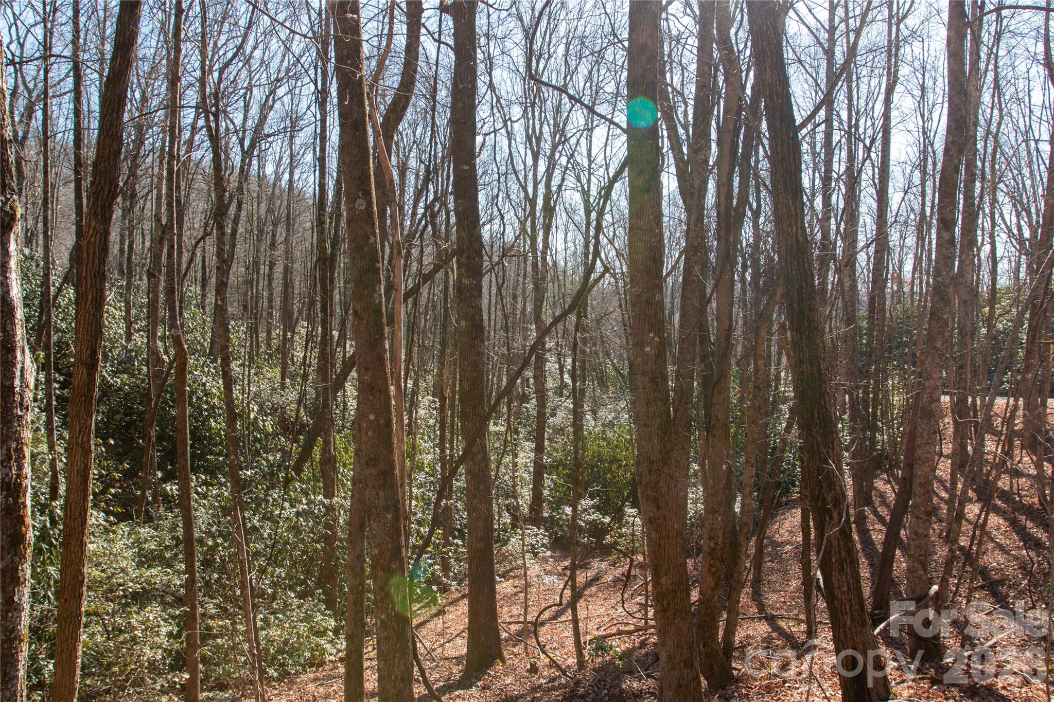 Lot 26 Big Branch Road Property Photo 5