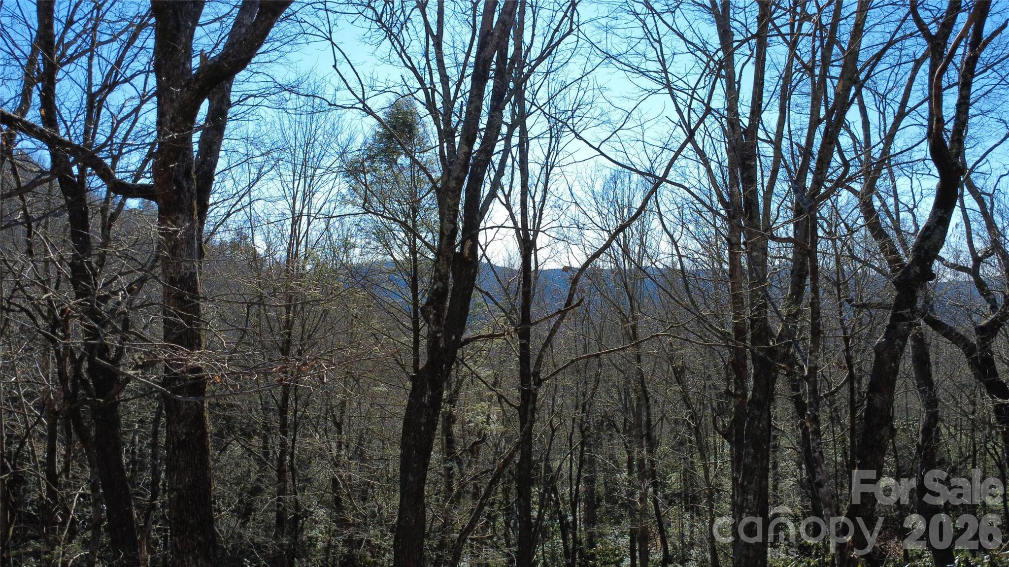 Lot 26 Big Branch Road Property Photo 7
