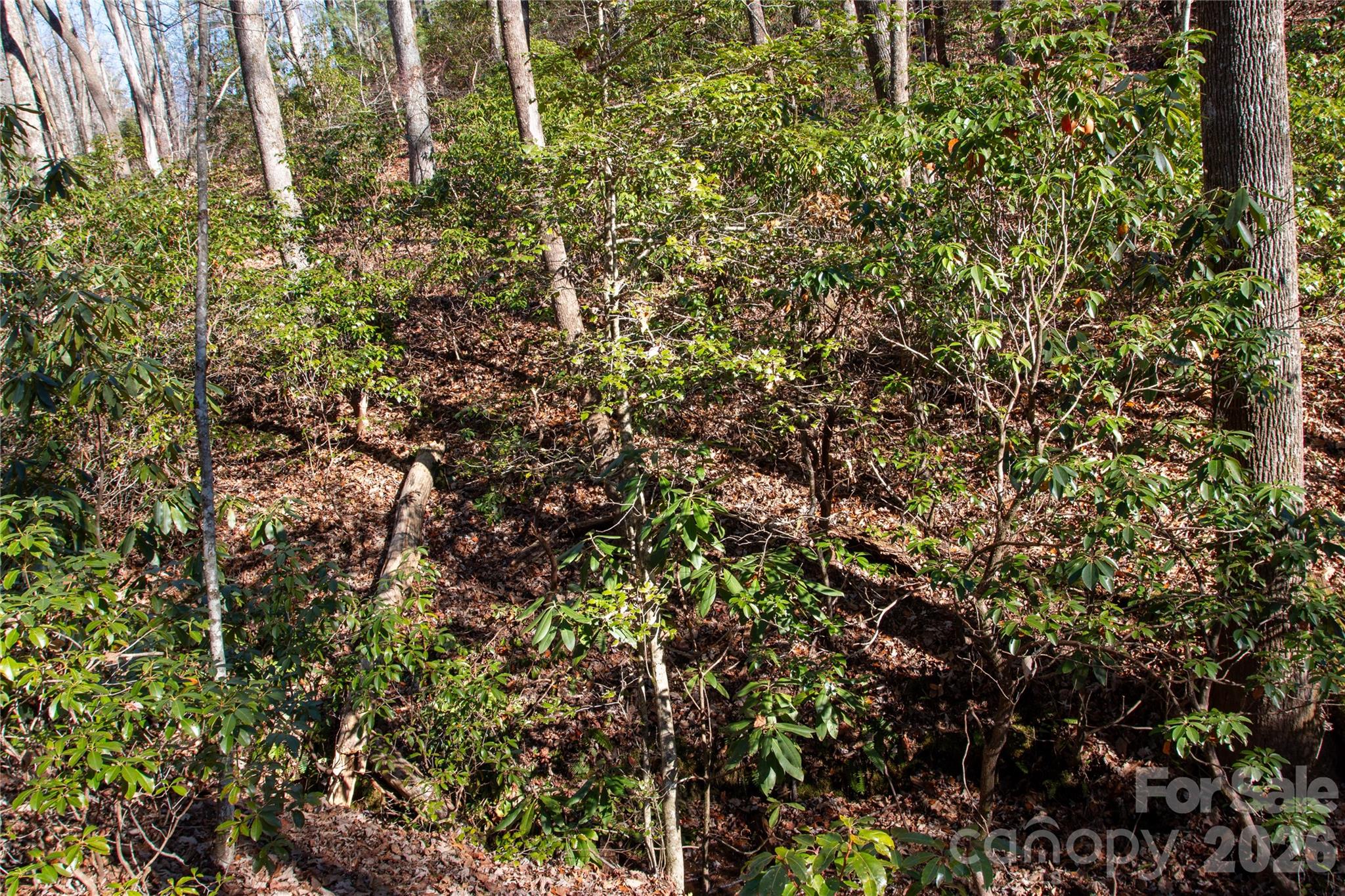 Lot 26 Big Branch Road Property Photo 8