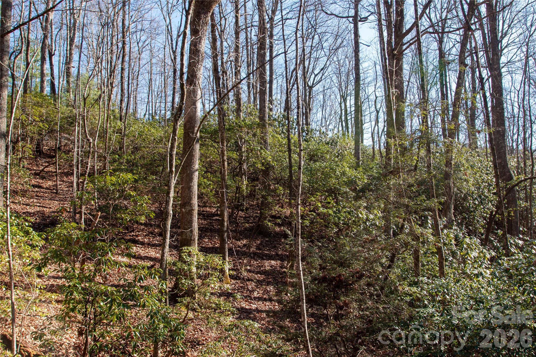 Lot 26 Big Branch Road Property Photo 9