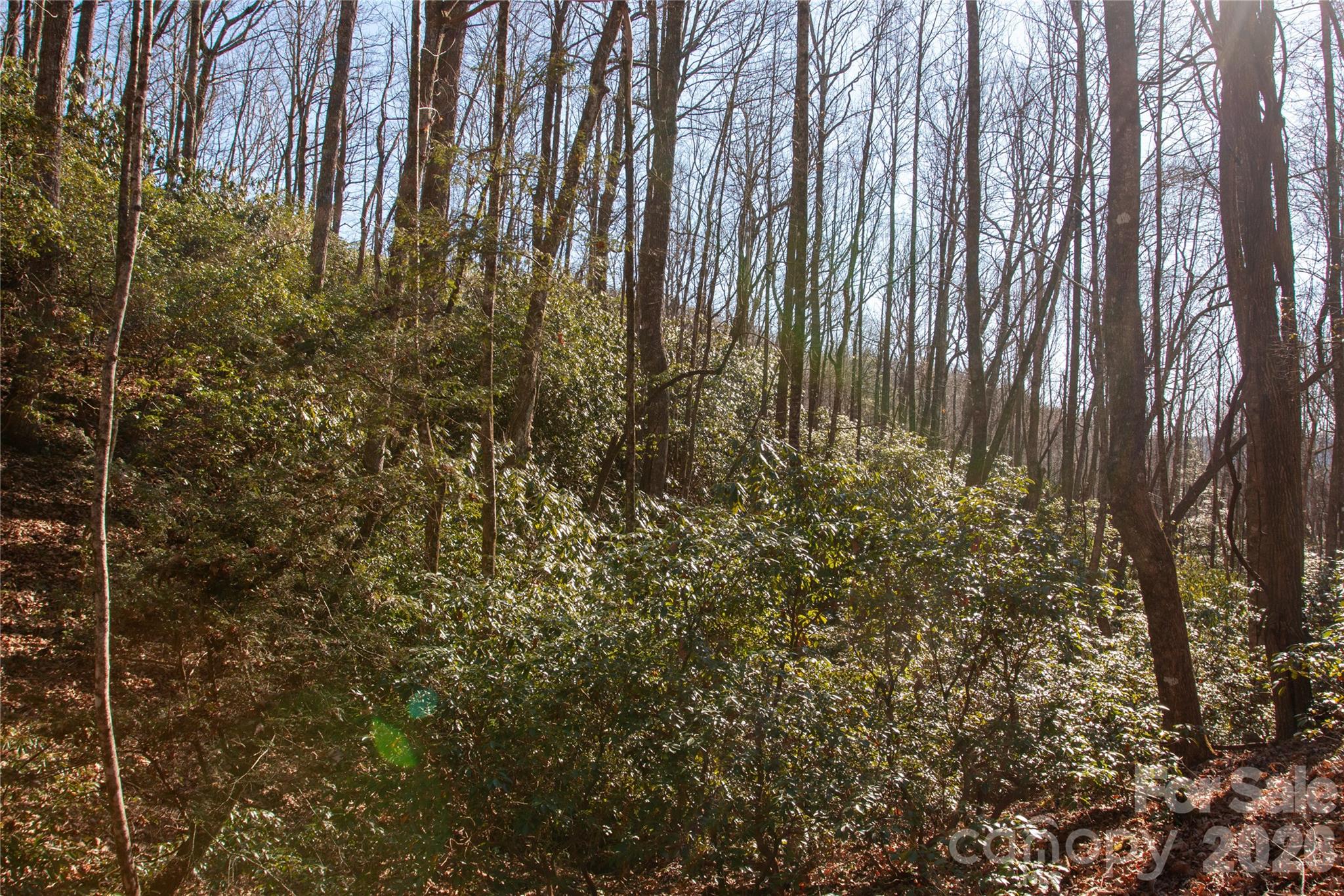 Lot 26 Big Branch Road Property Photo 10
