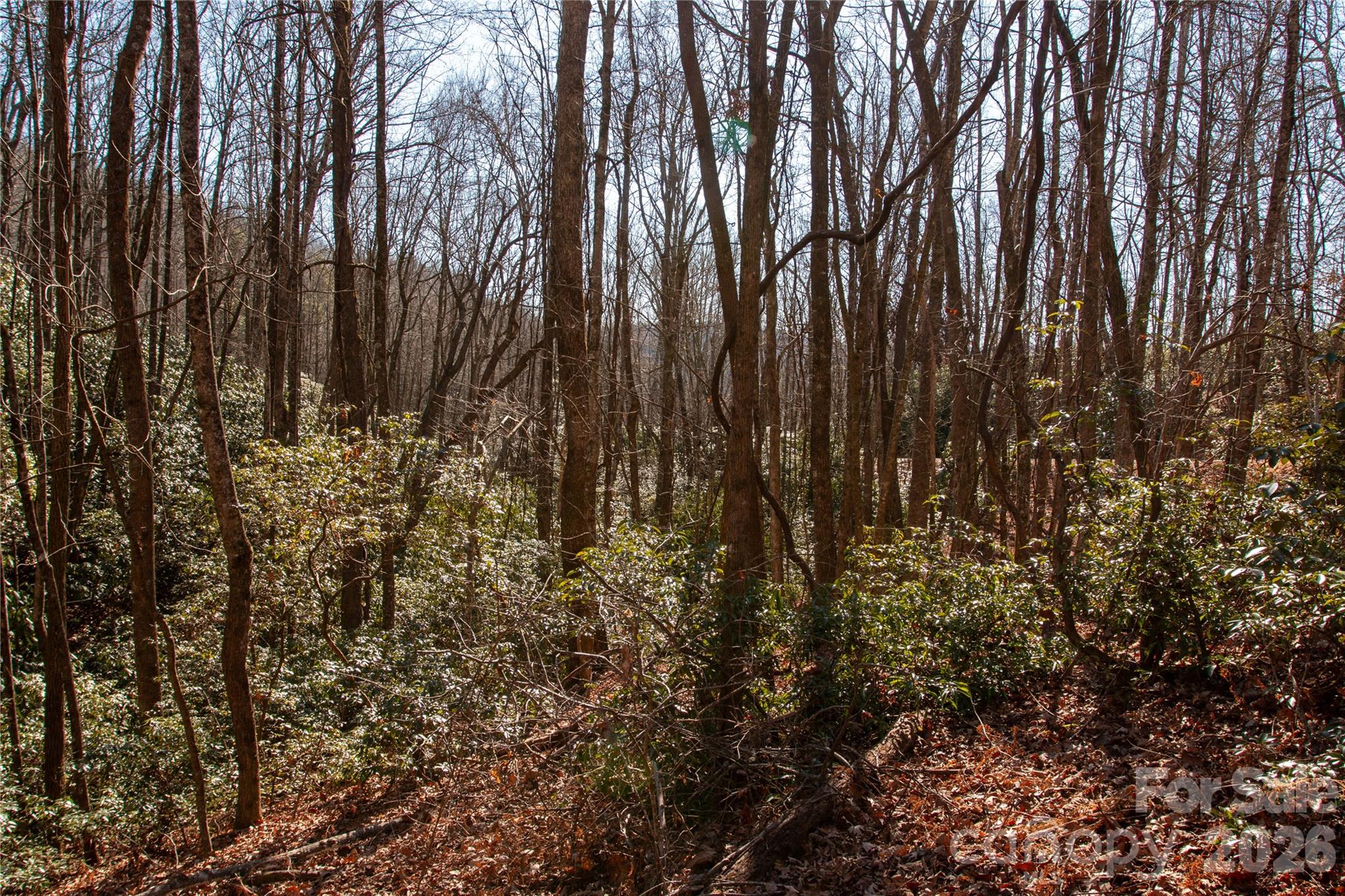Lot 26 Big Branch Road Property Photo 11