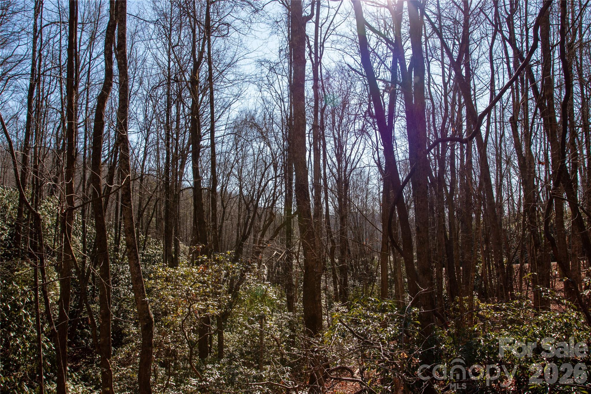 Lot 26 Big Branch Road Property Photo 12