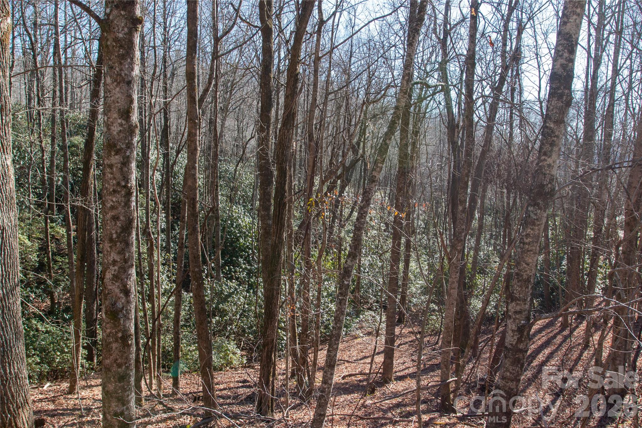 Lot 26 Big Branch Road Property Photo 14