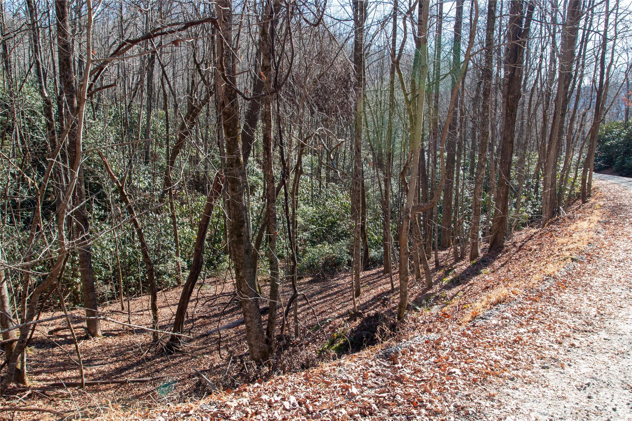 Lot 26 Big Branch Road Property Photo 15