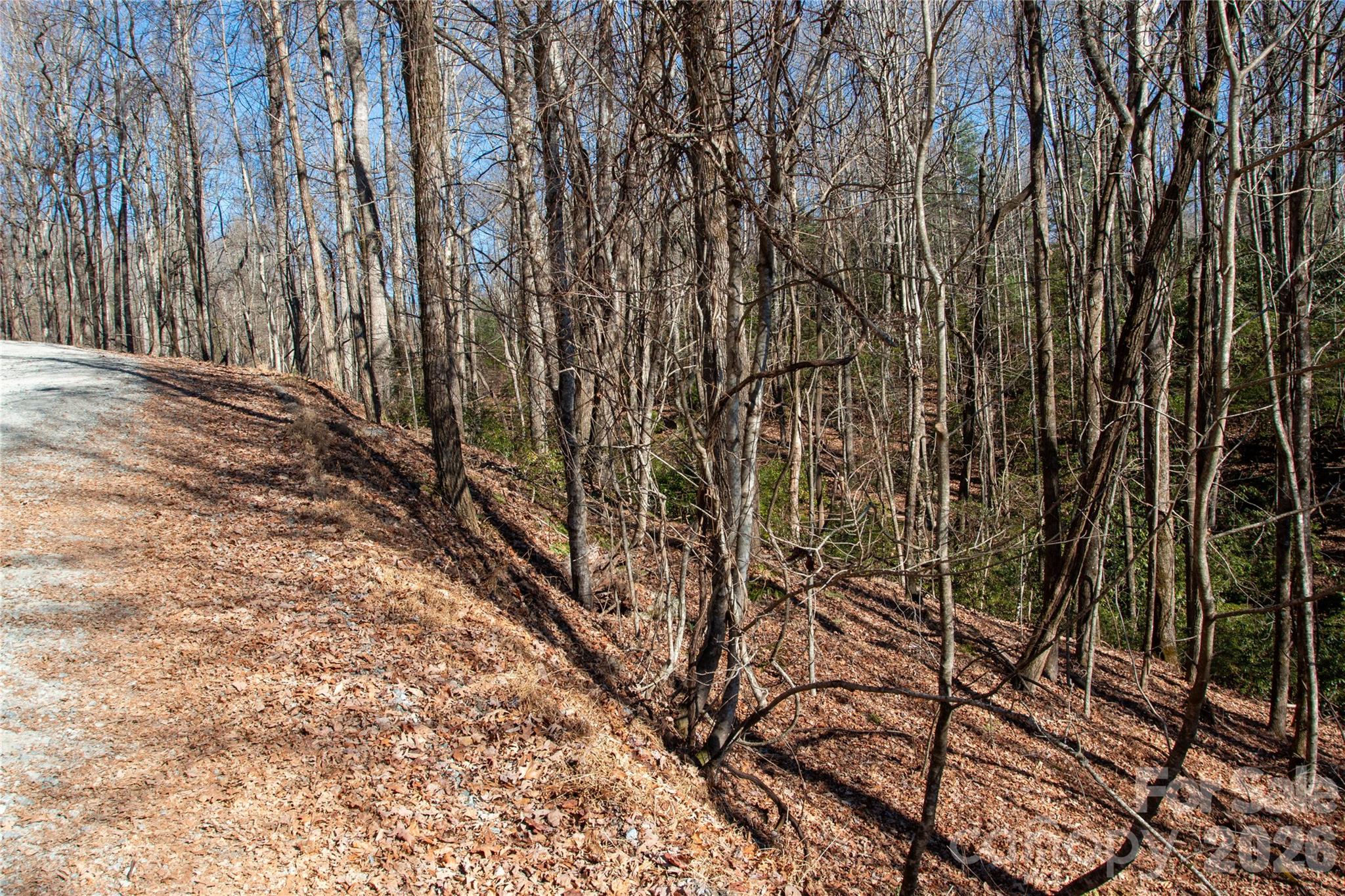 Lot 26 Big Branch Road Property Photo 17