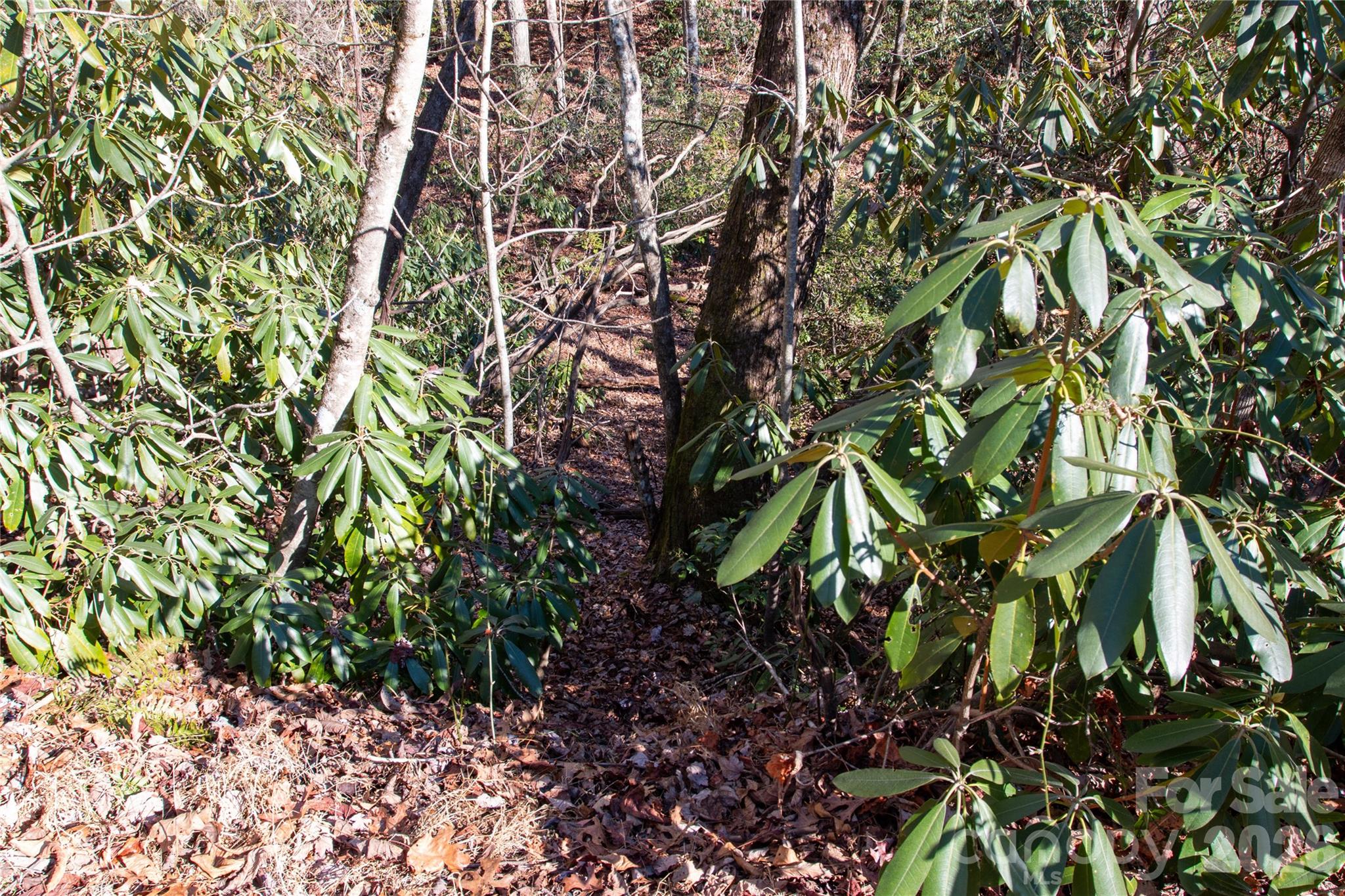 Lot 26 Big Branch Road Property Photo 19