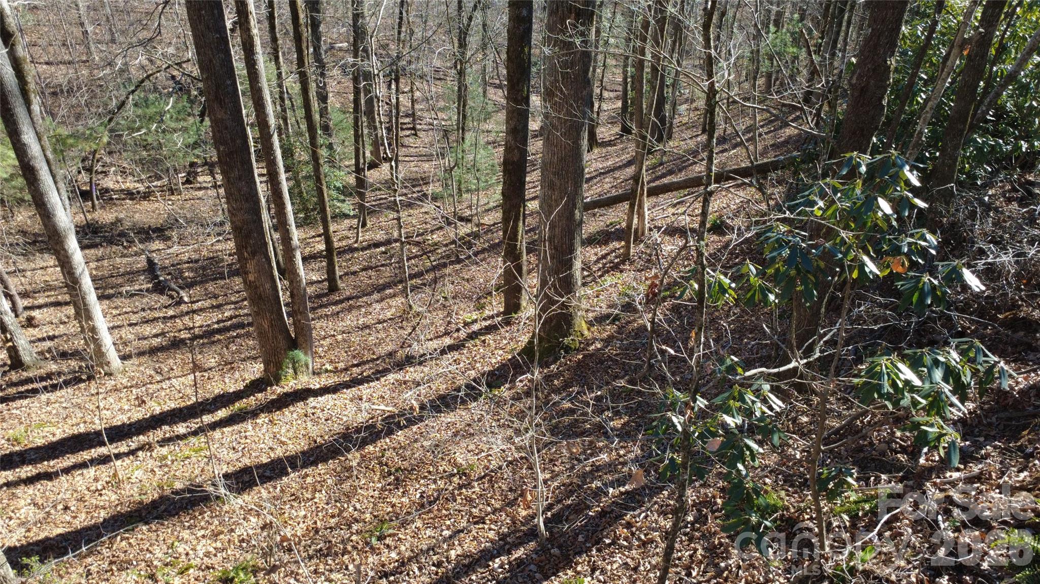Lot 26 Big Branch Road Property Photo 20