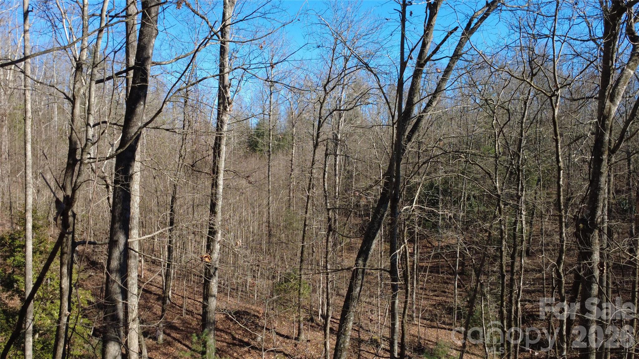 Lot 26 Big Branch Road Property Photo 23