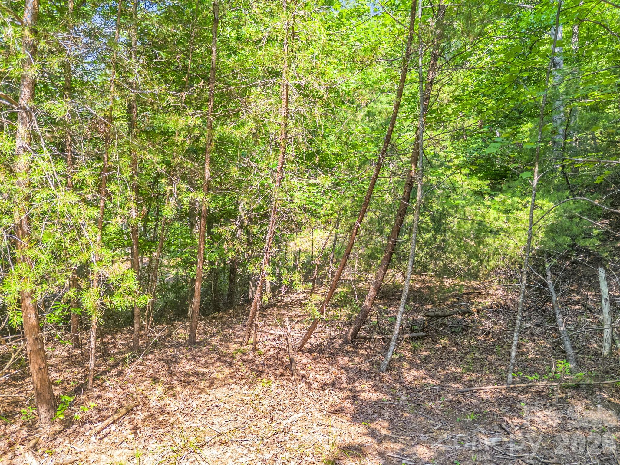 2 Jackson Cove Road 2 Property Photo 6