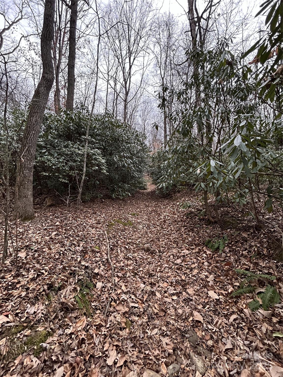 000 Lytle Cove Road Property Photo 13